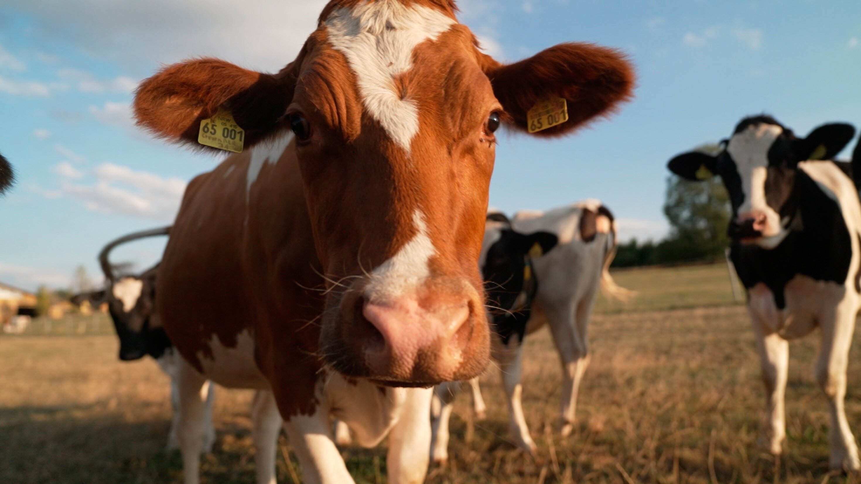 Unsere eigene Farm – Hier blüht uns was!