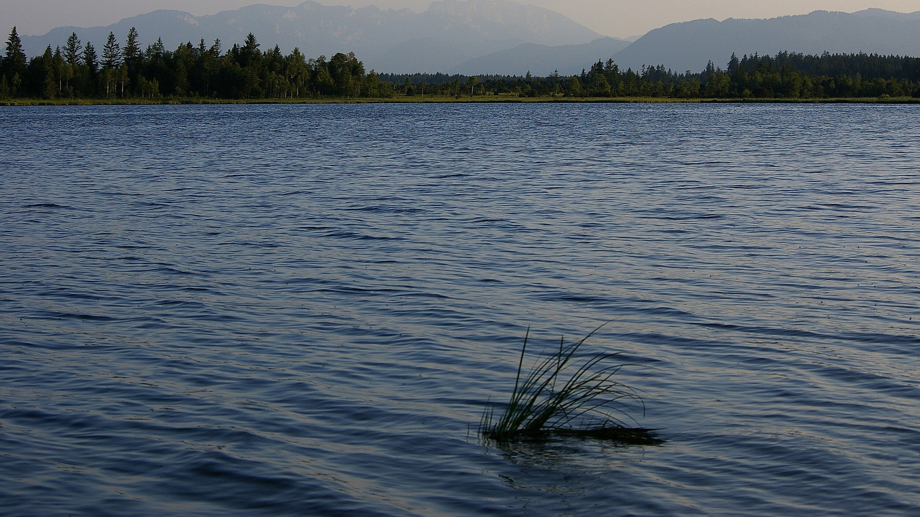 Ein Jahr am Kirchsee