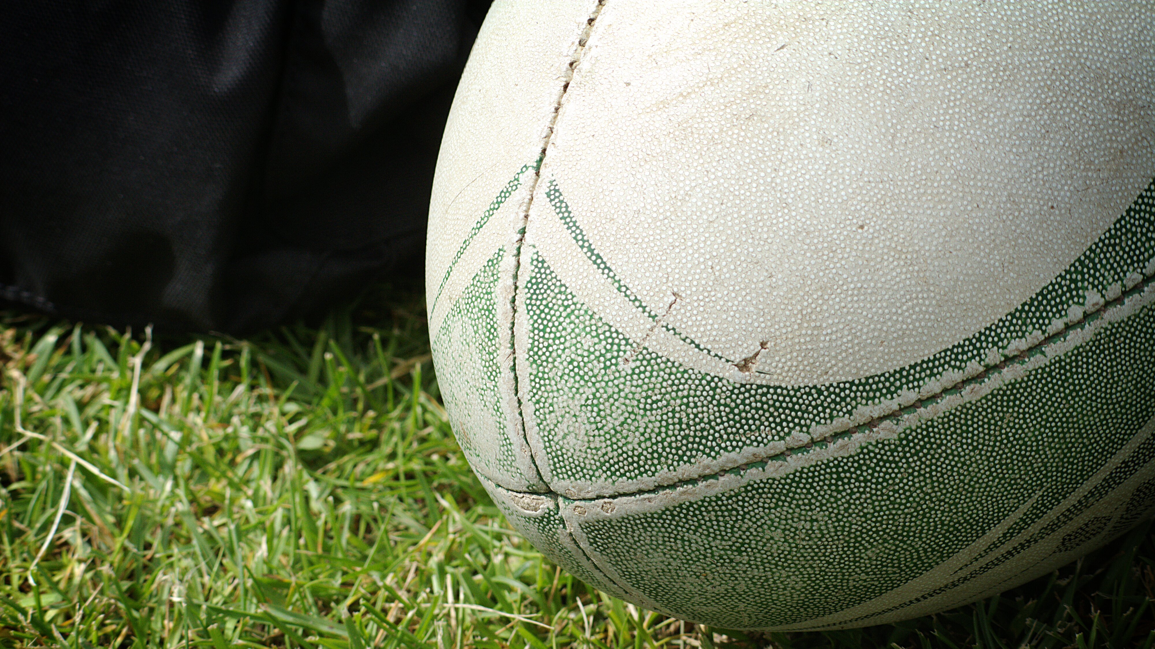 Rugby : Champions Cup