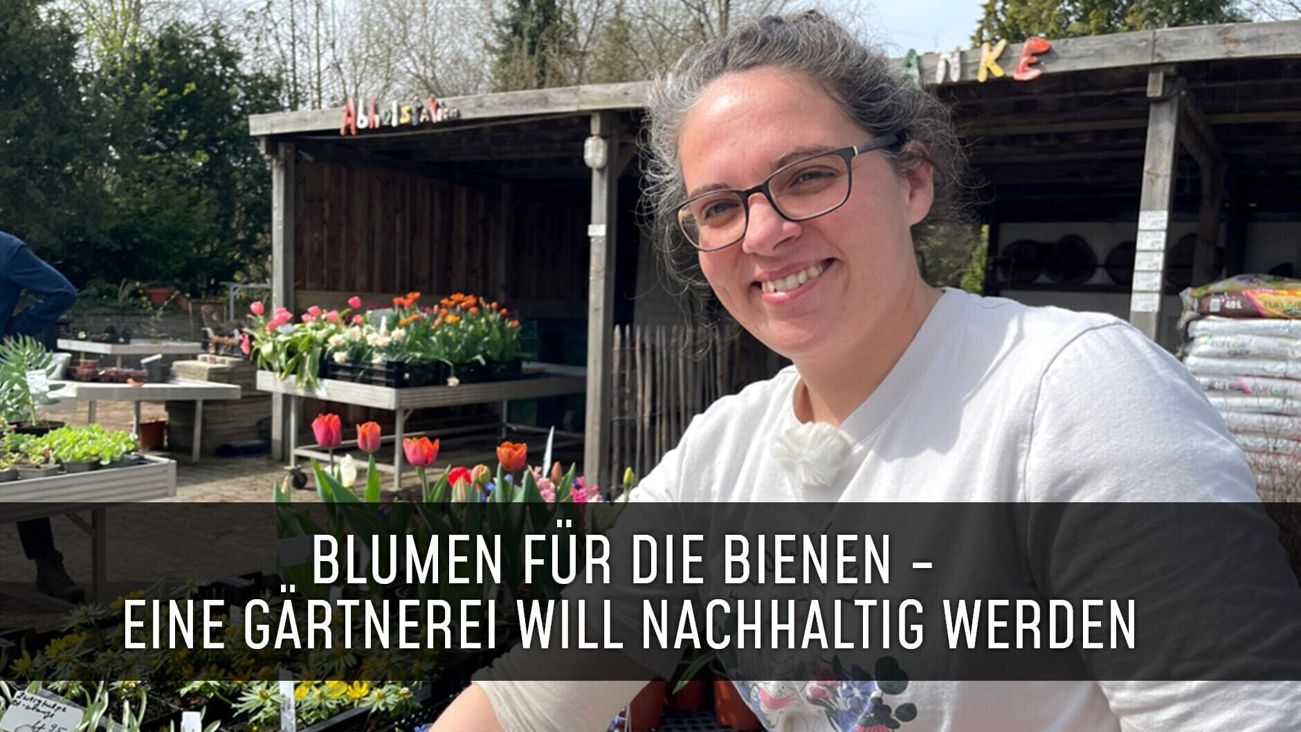 Blumen für die Bienen