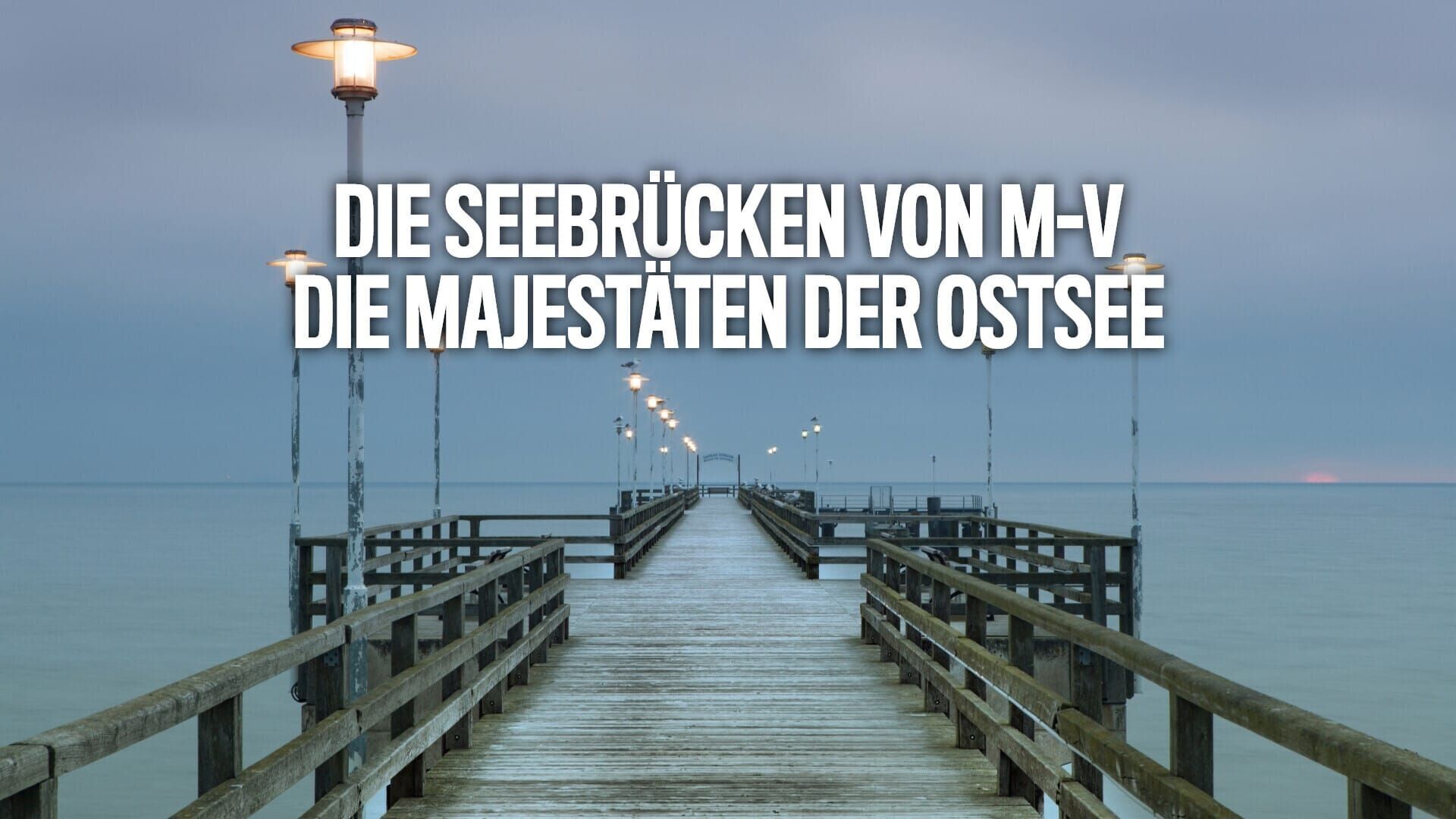 Die Seebrücken von M-V