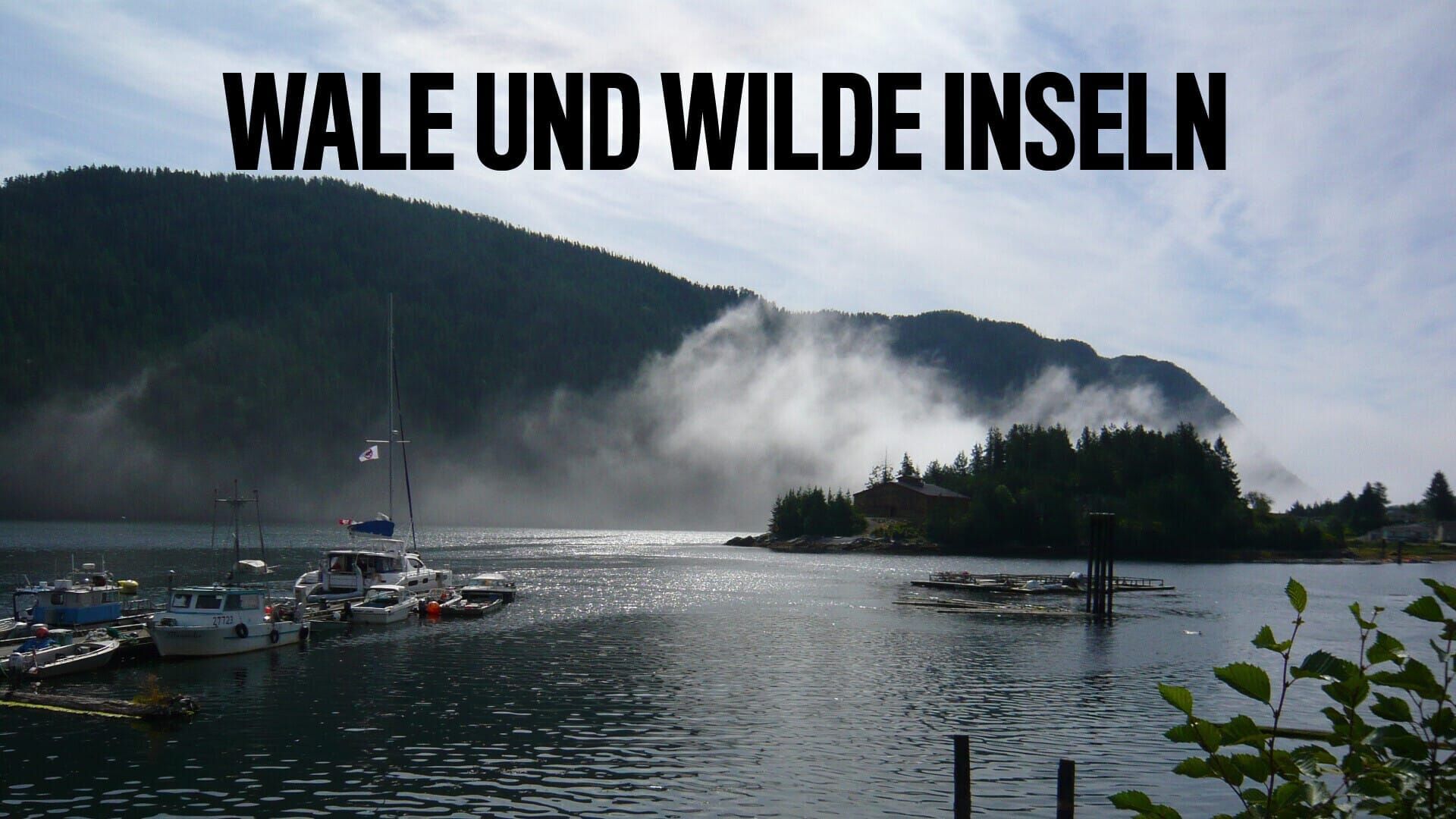 Wale und wilde Inseln