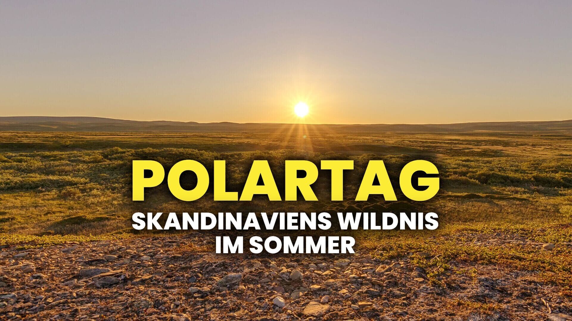 Polartag – Skandinaviens Wildnis im Sommer