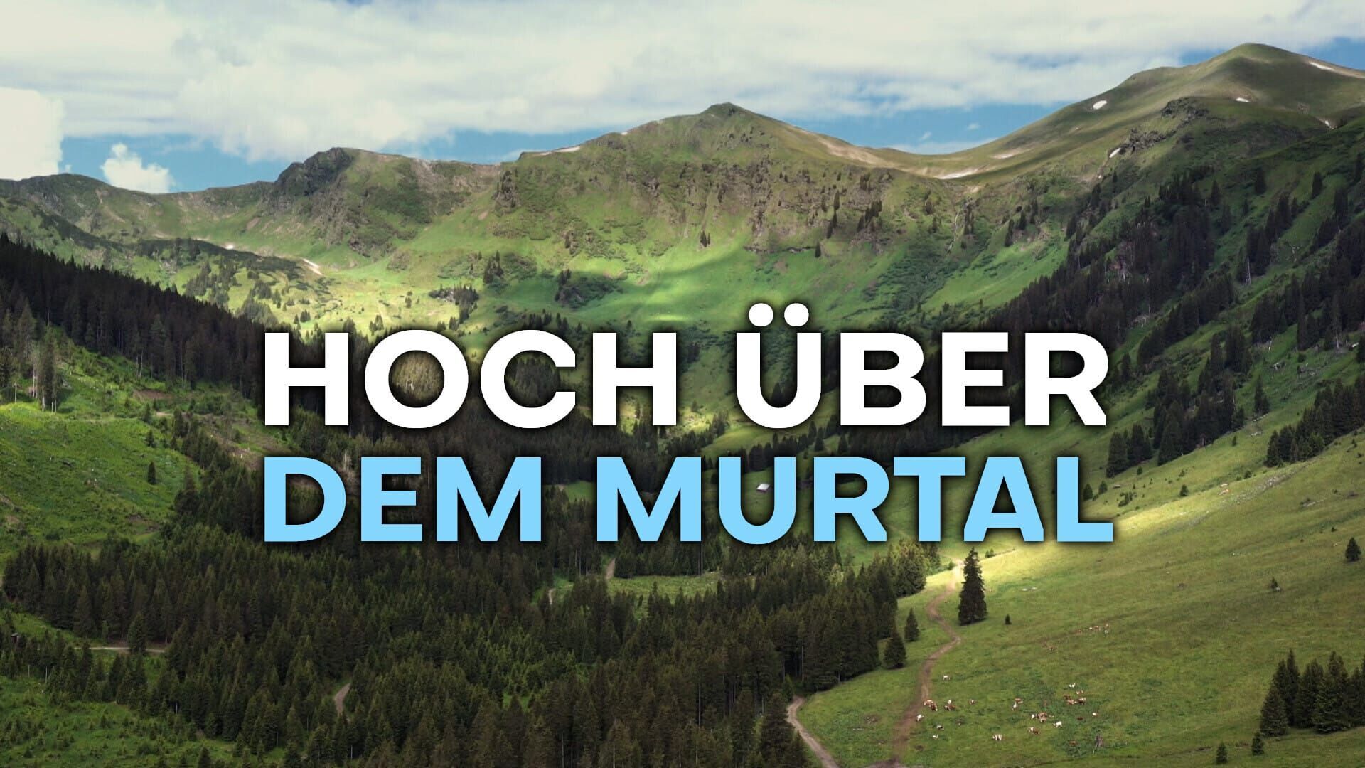 Hoch über dem Murtal