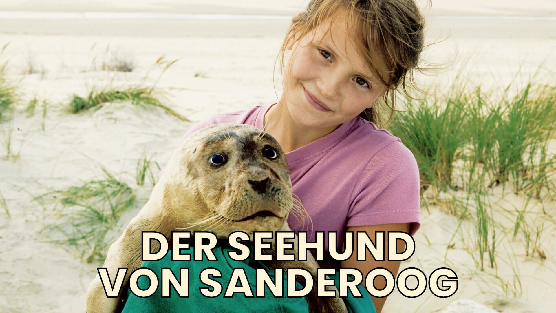 Der Seehund von Sanderoog