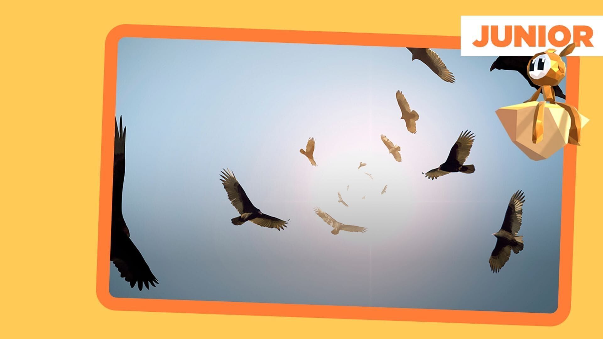 ARTE Junior Das Magazin