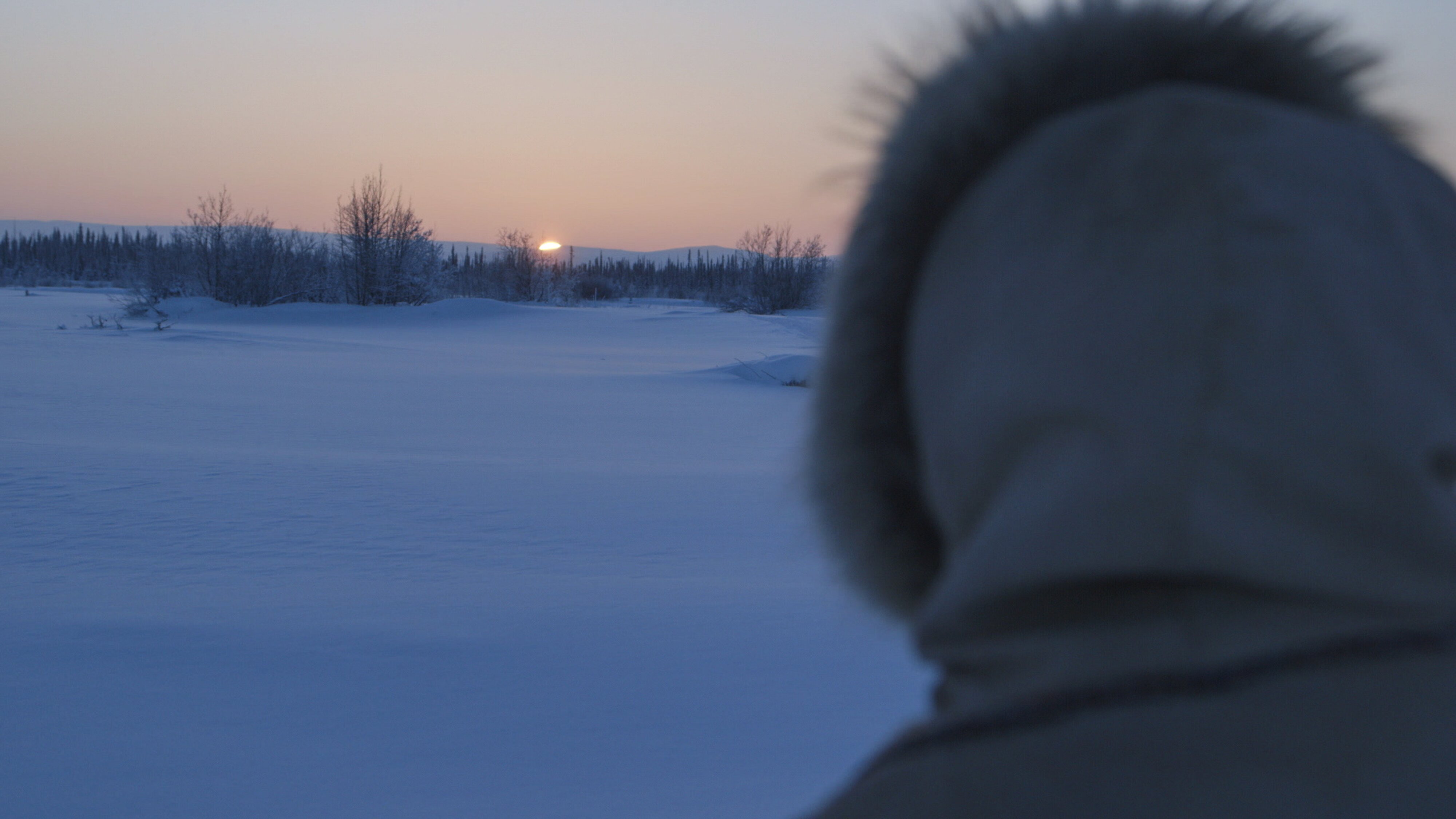 Nordalaska – Überleben am Polarkreis