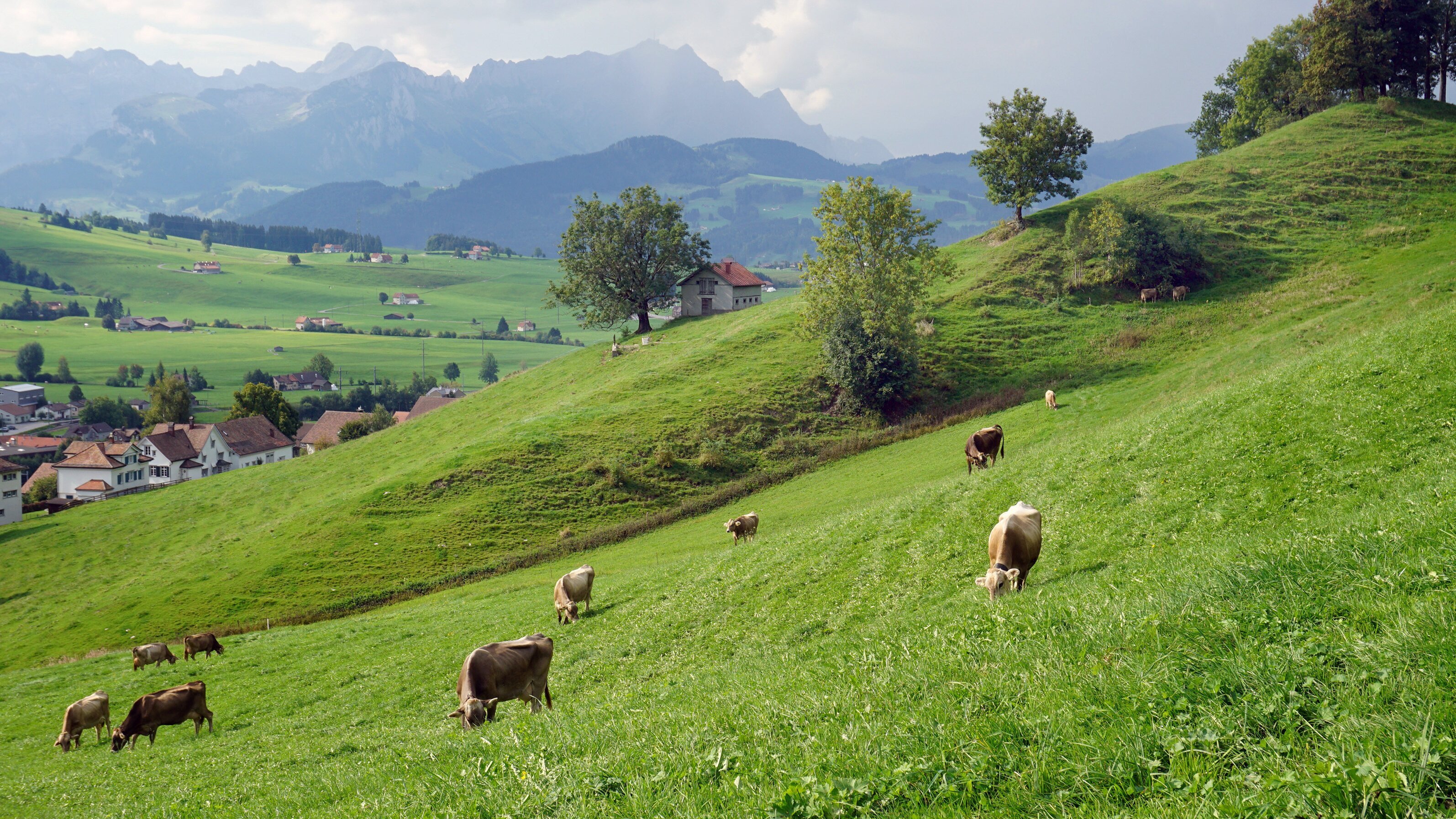 Expedition in die Heimat