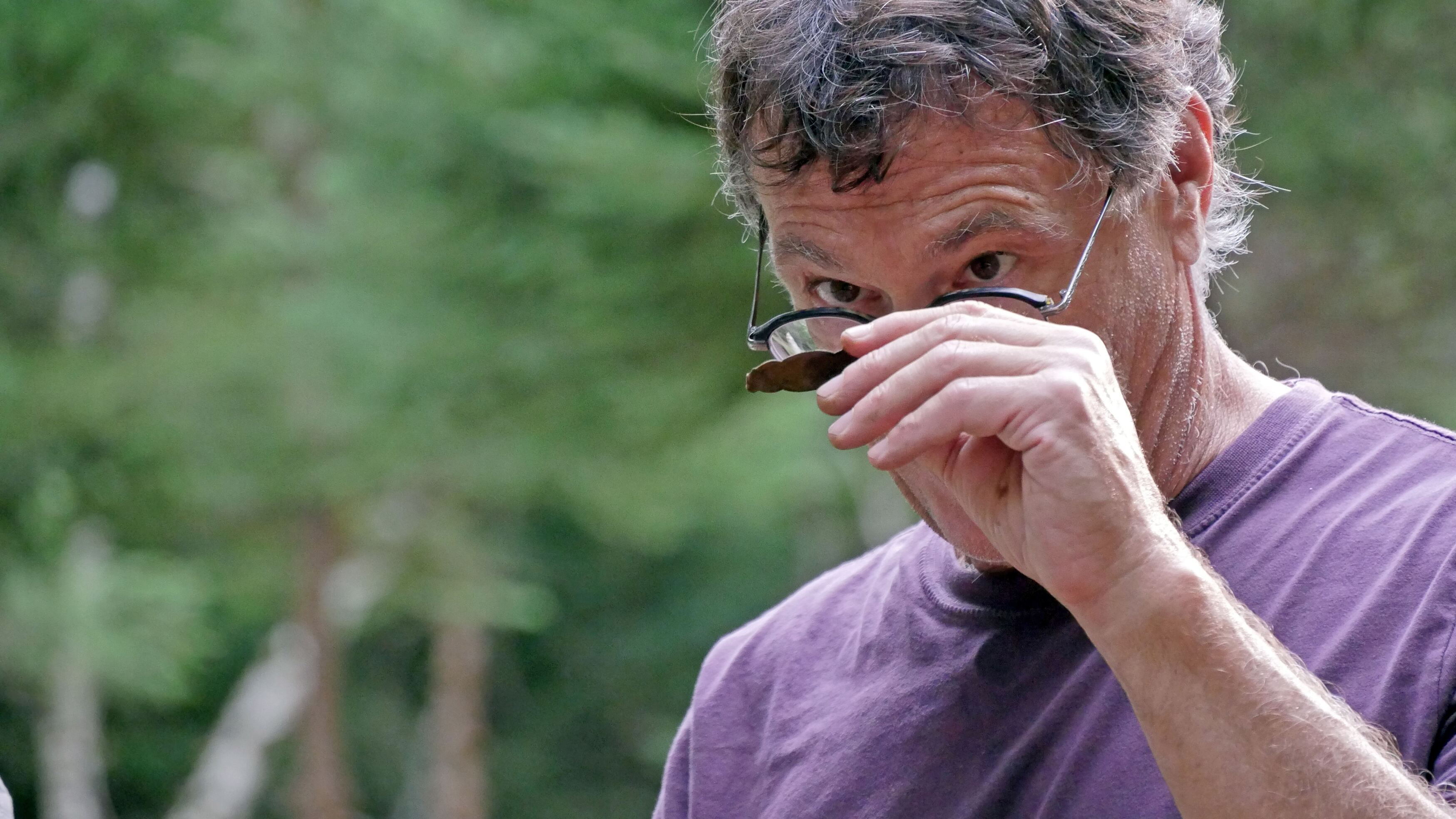 Die Schatzsucher von Oak Island