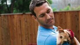 Der Hundetrainer – Lucky Dogs mit Brandon McMillan