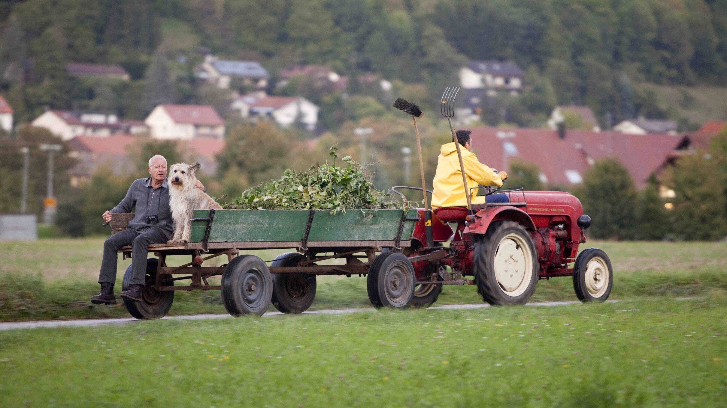 Heiter bis tödlich – Fuchs und Gans