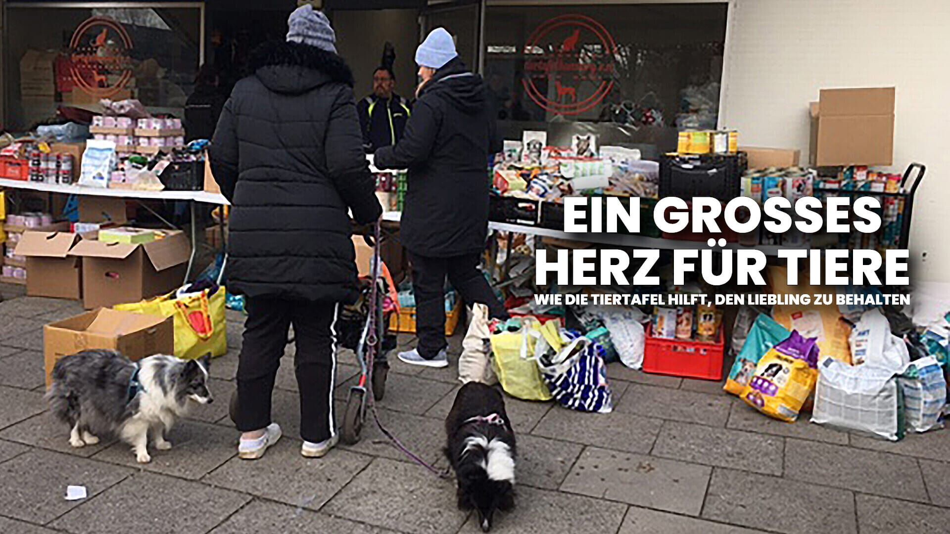 Ein großes Herz für Tiere