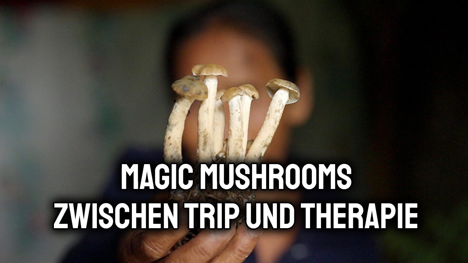 Magic Mushrooms: Zwischen Trip und Therapie