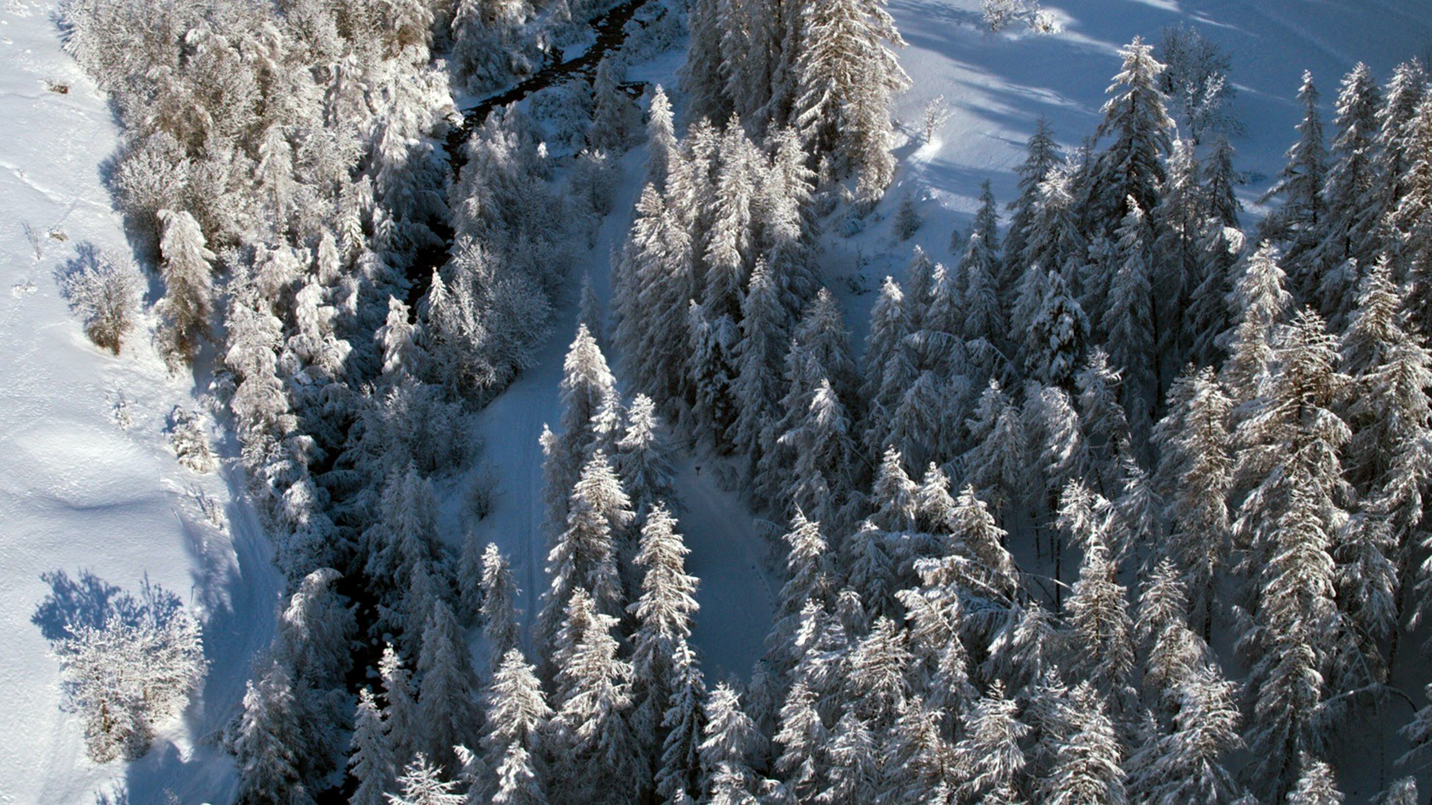 Der ersehnte Schnee