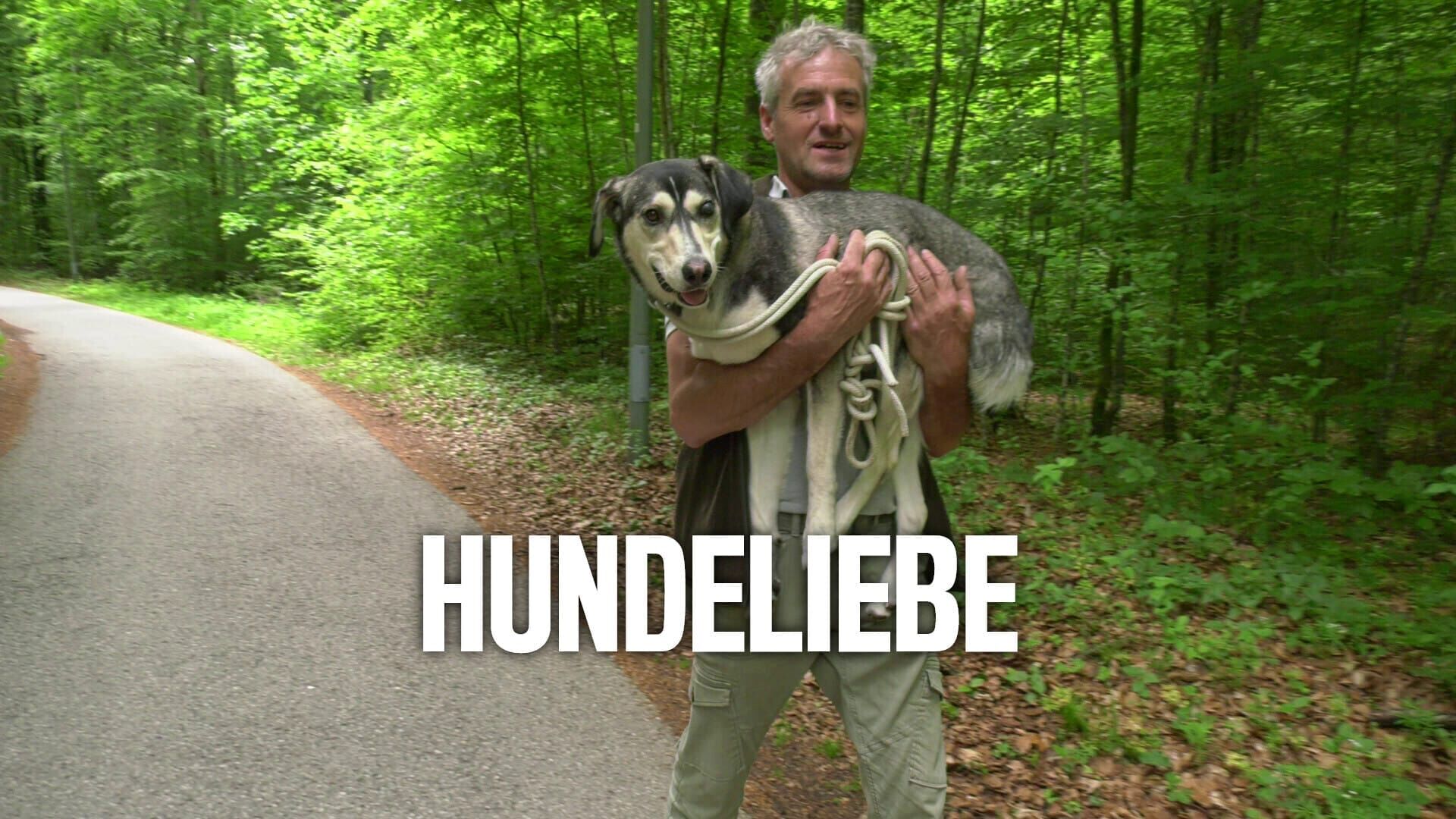 Hundeliebe