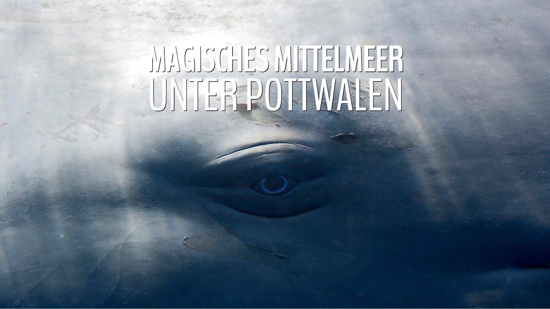Magisches Mittelmeer