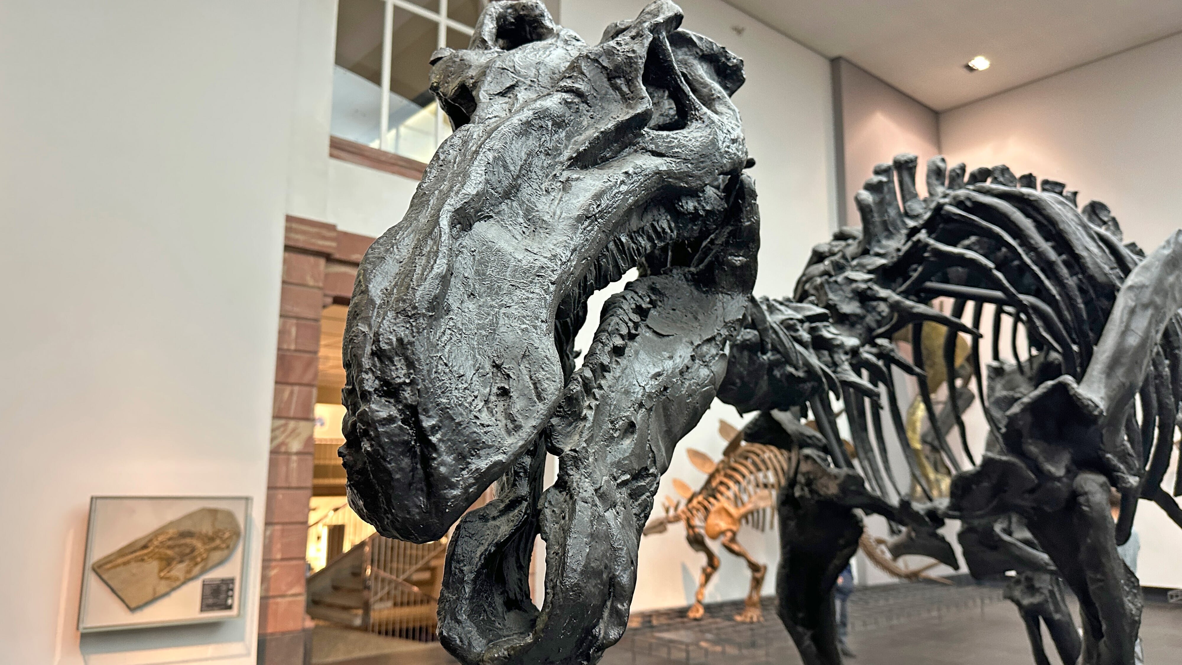 Tobis Städtetrip spezial: Dinos hautnah! – das Senckenberg Museum