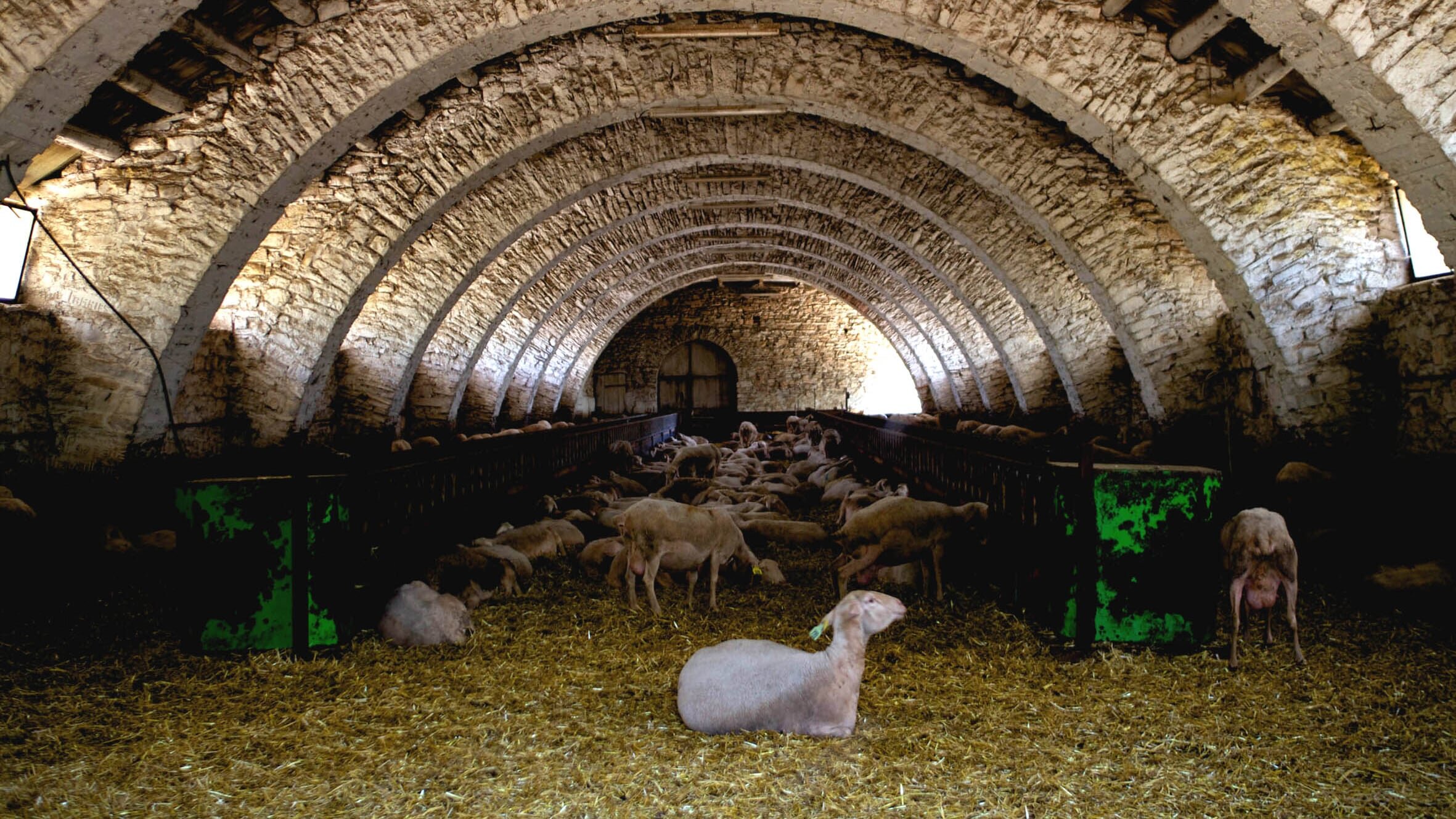 Tous au Larzac