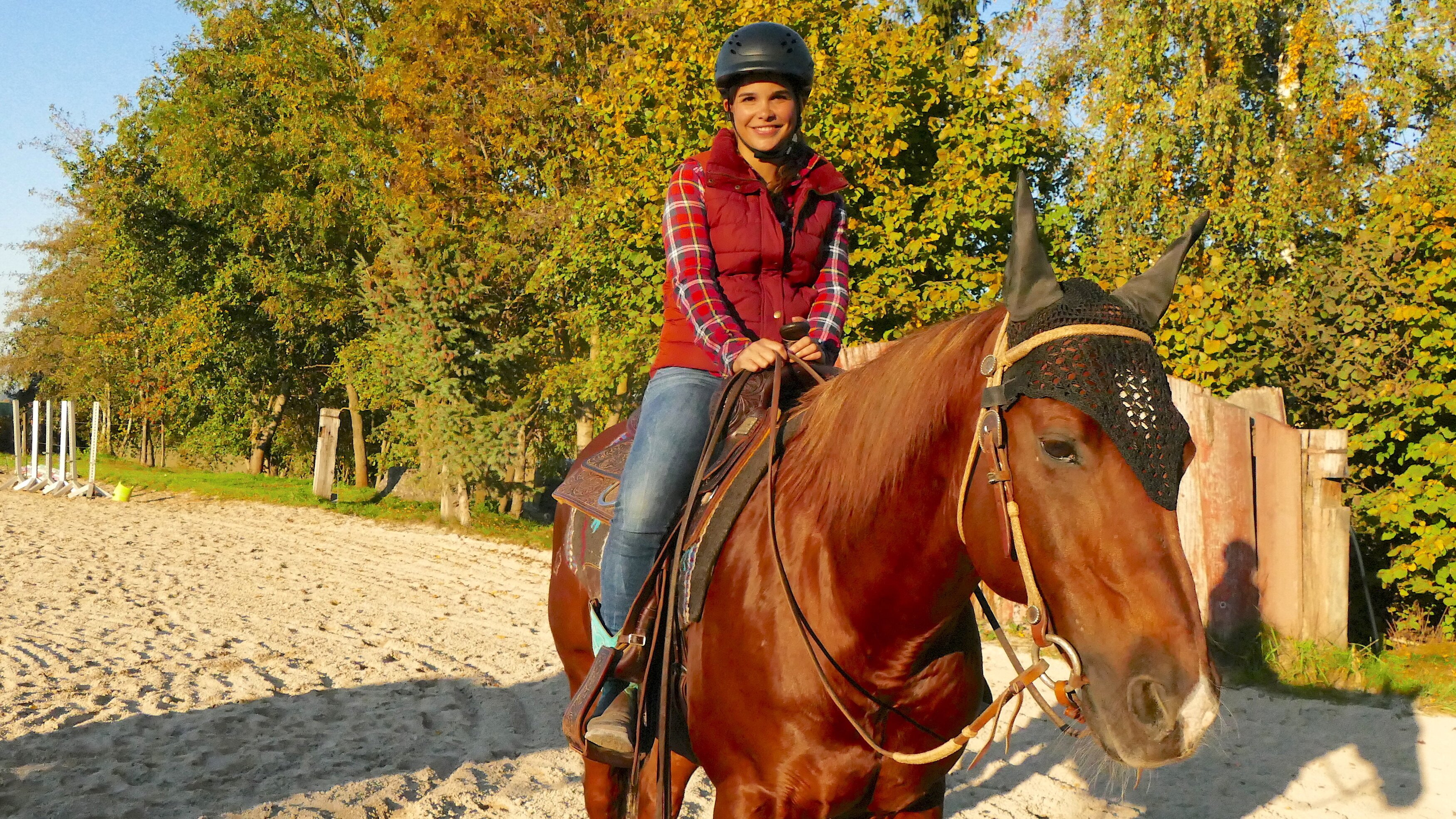 Anna und die Haustiere