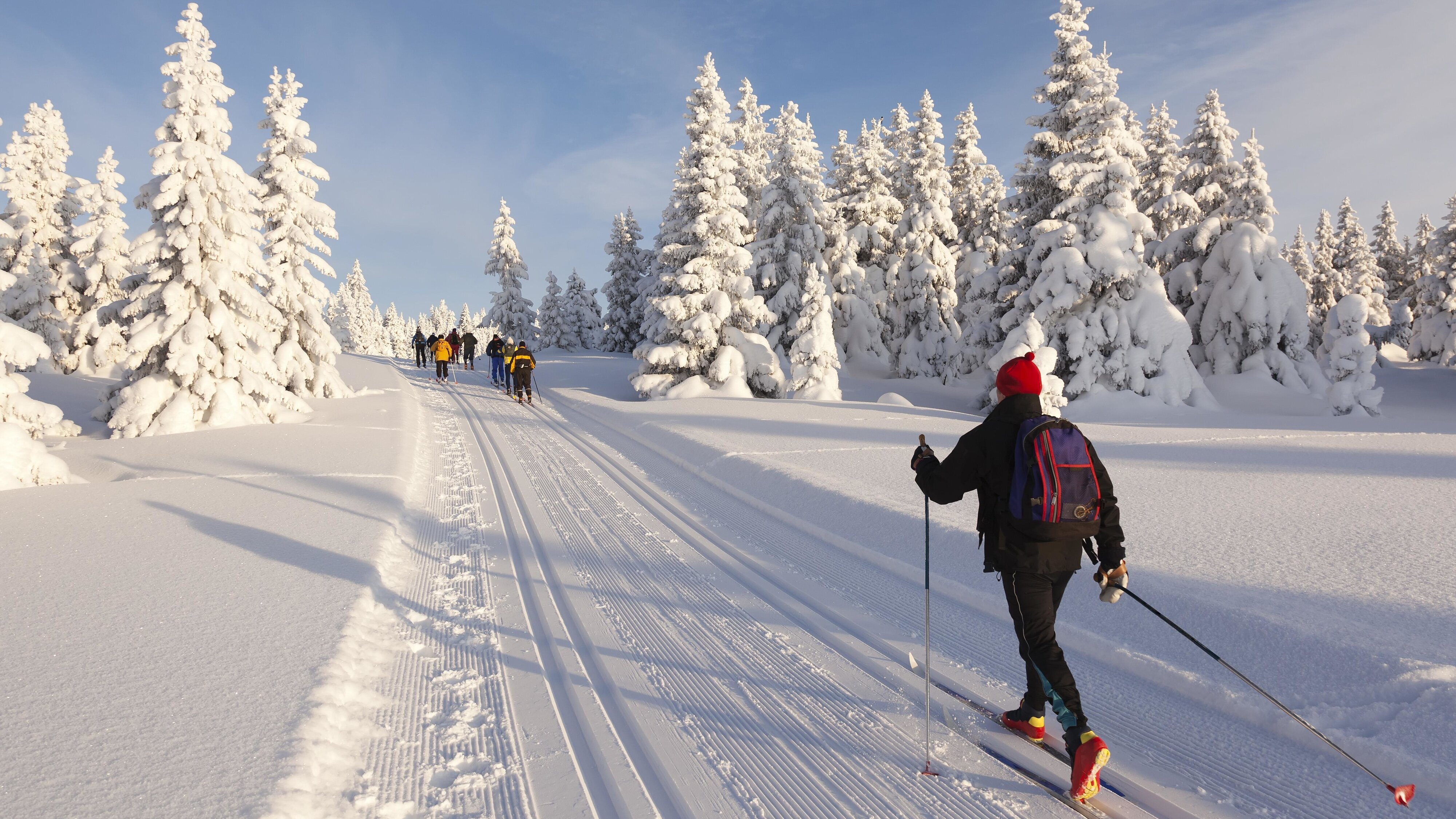 FIS Langlauf Weltcup Oslo