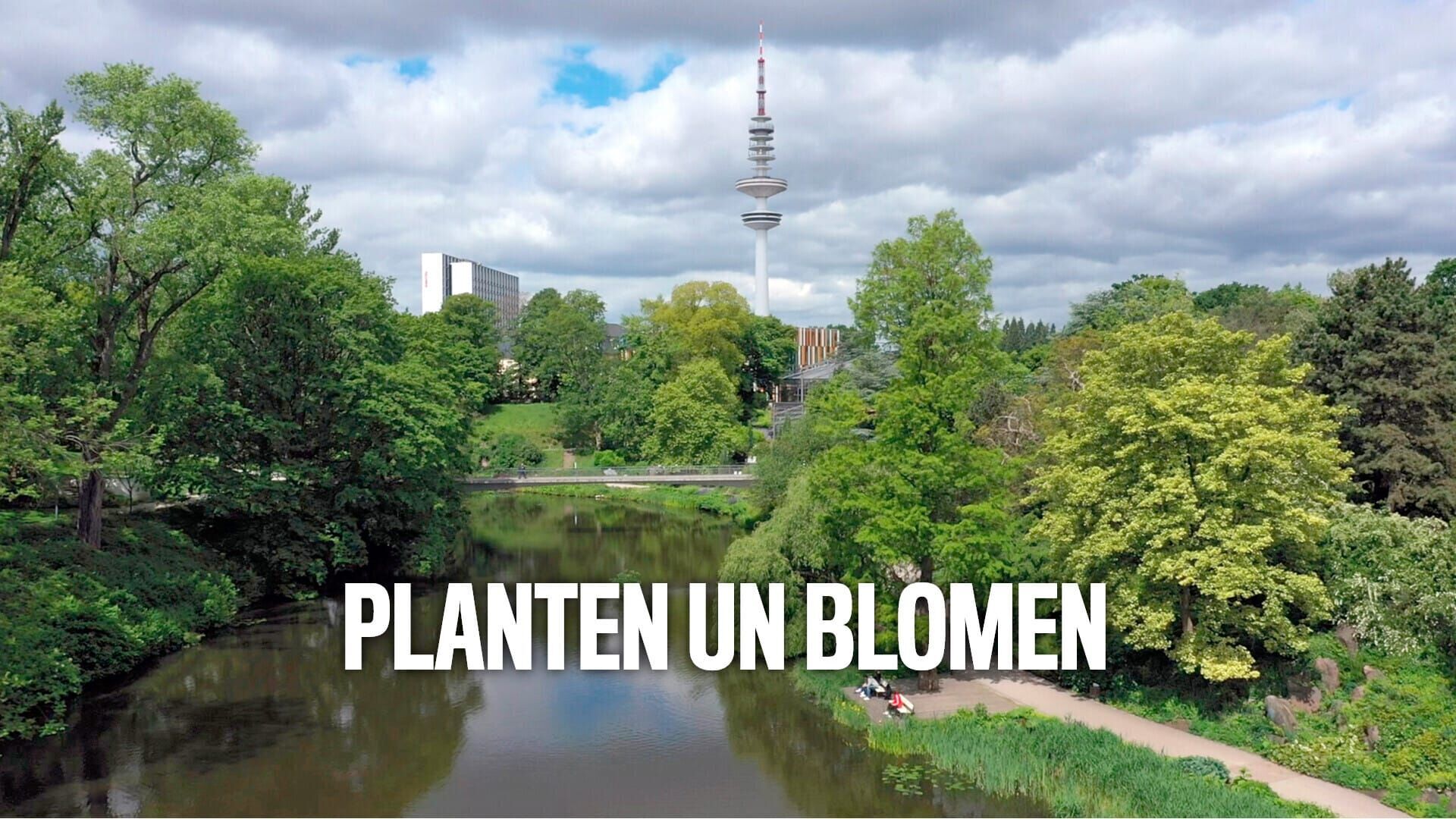 Planten un Blomen