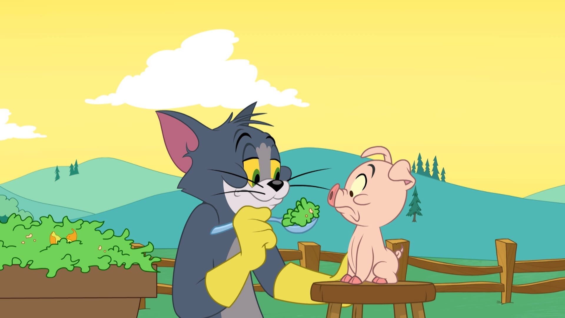 Die Tom und Jerry Show