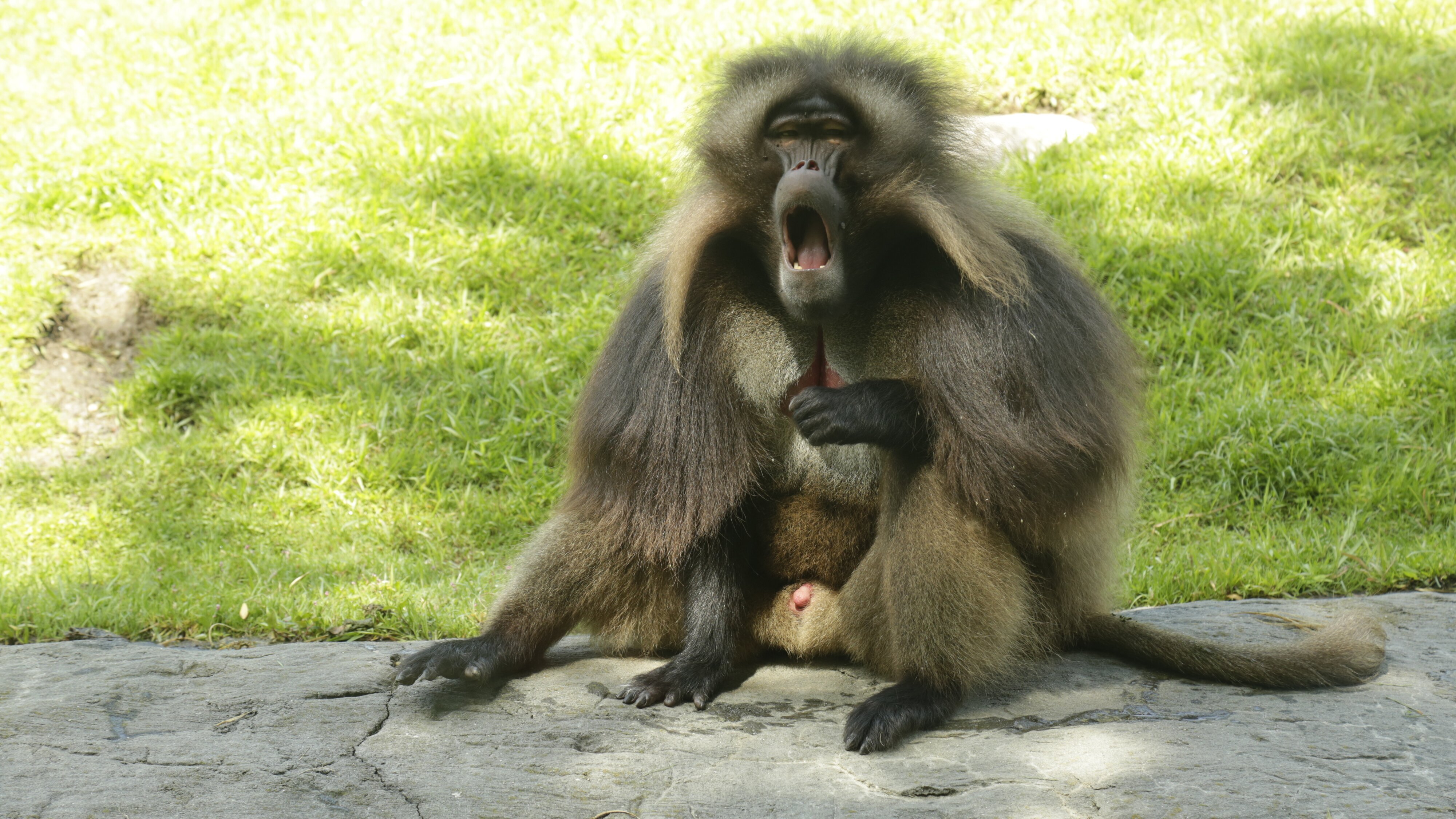 Bronx Zoo – Tierpark der Superlative