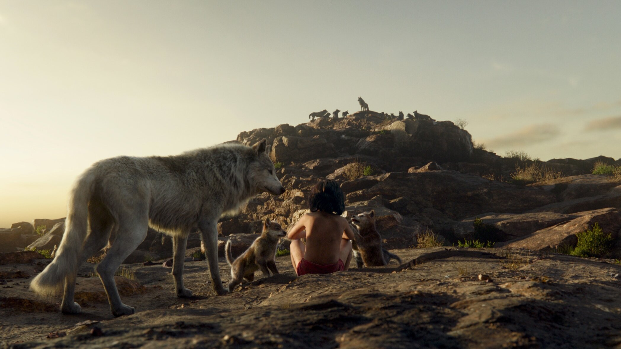 The Jungle Book