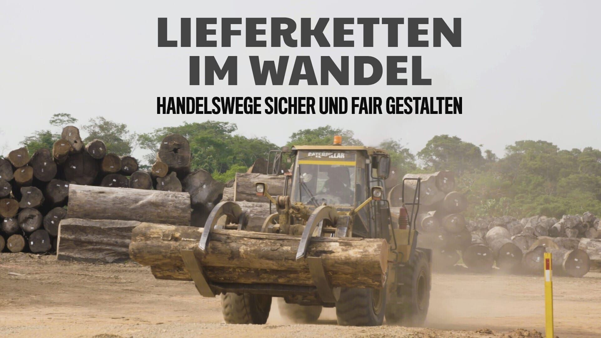 plan b: Lieferketten im Wandel