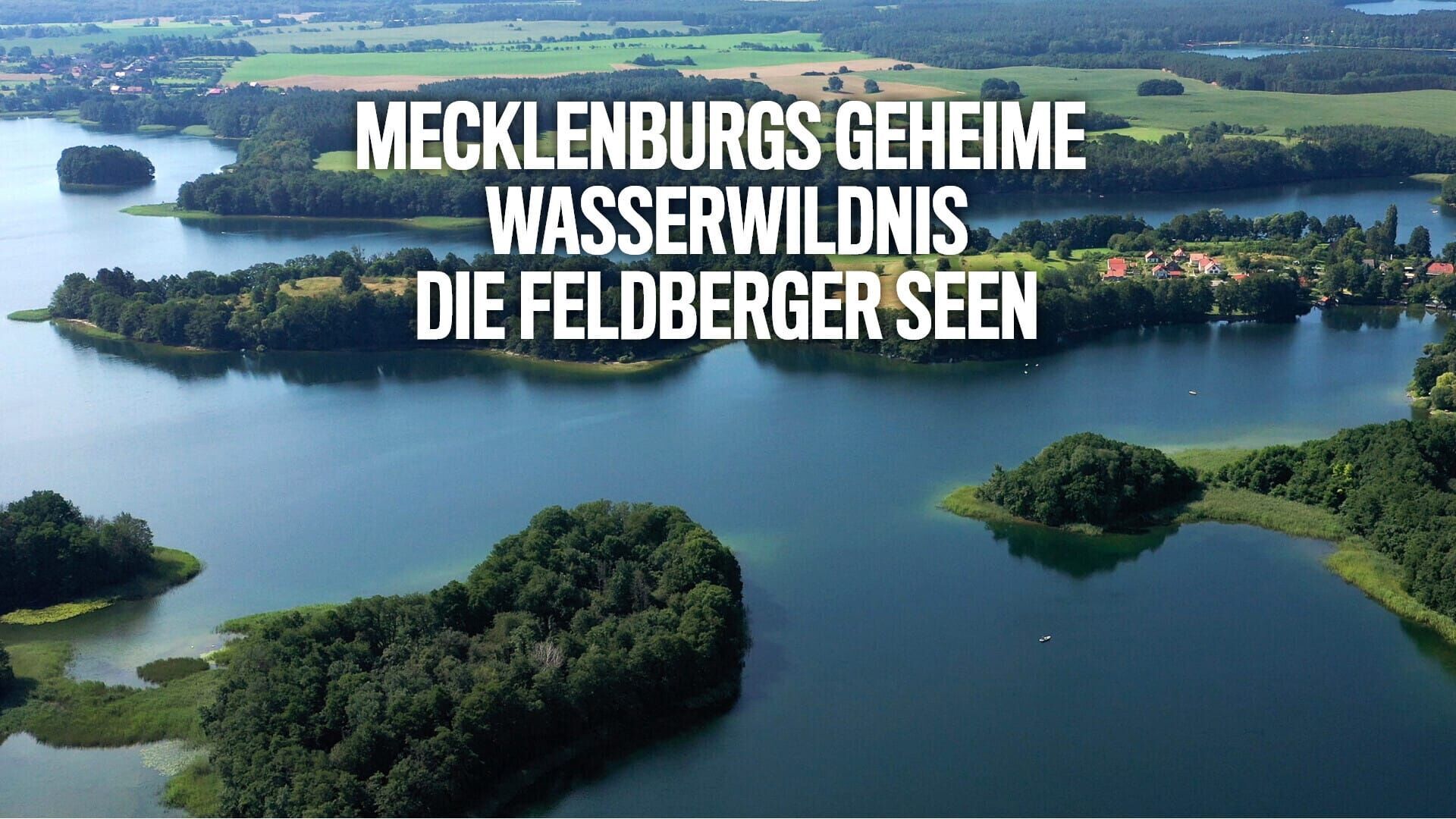 Mecklenburgs geheime Wasserwildnis – Die Feldberger Seen