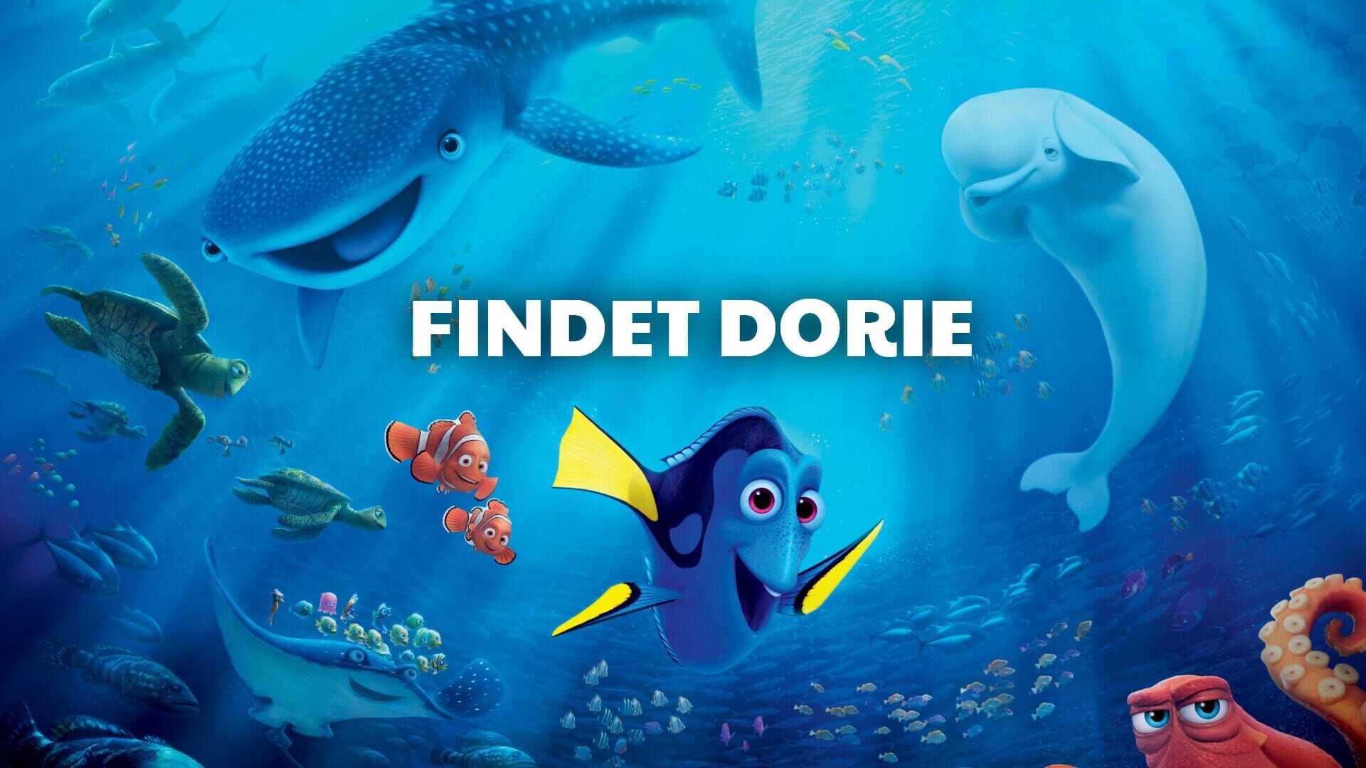 Findet Dorie