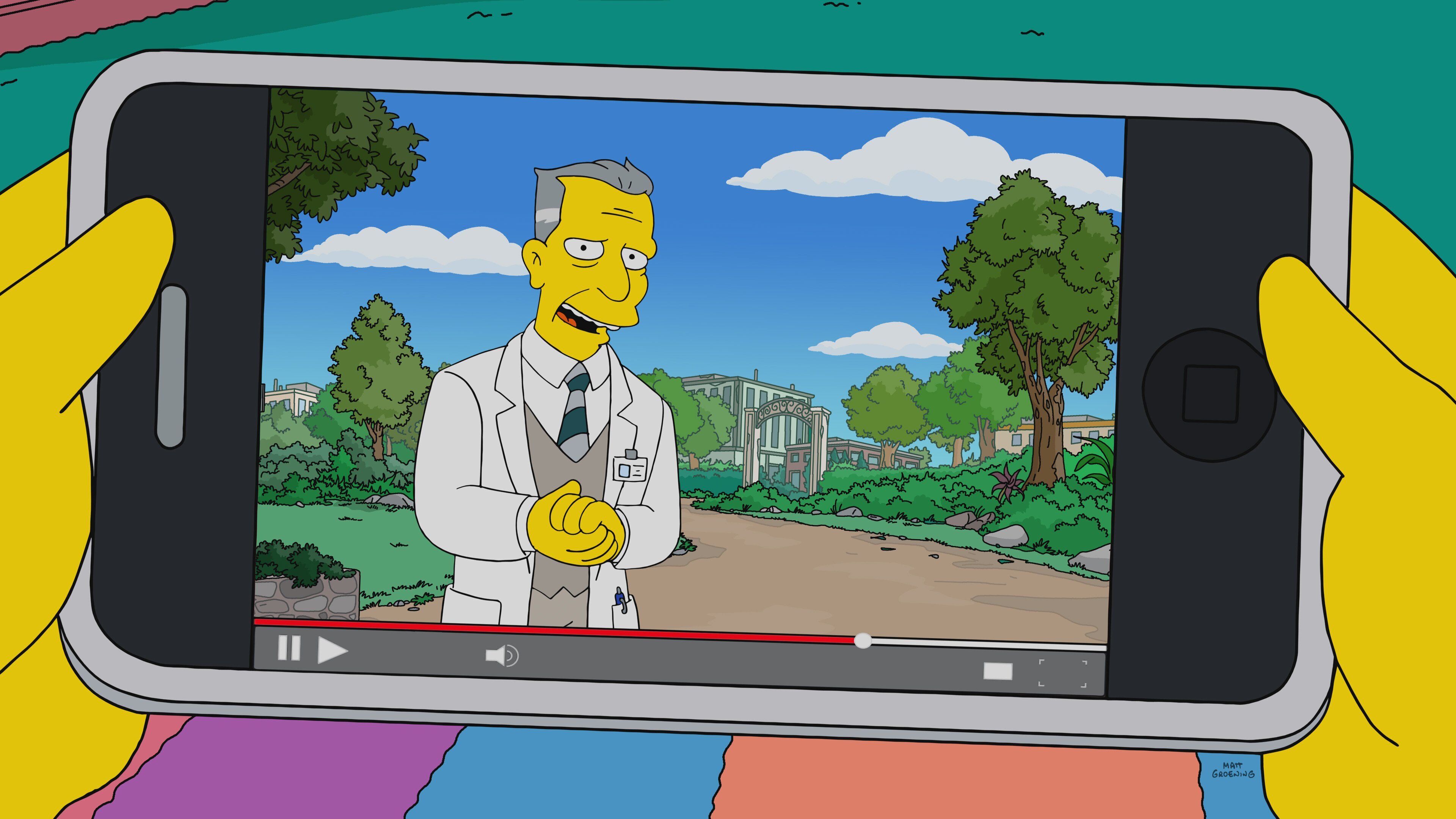Die Simpsons