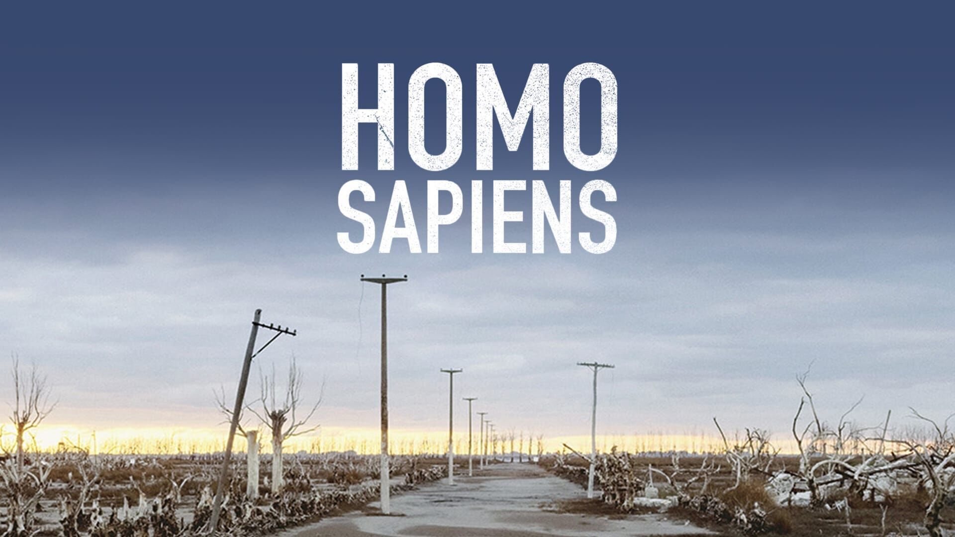 Homo Sapiens