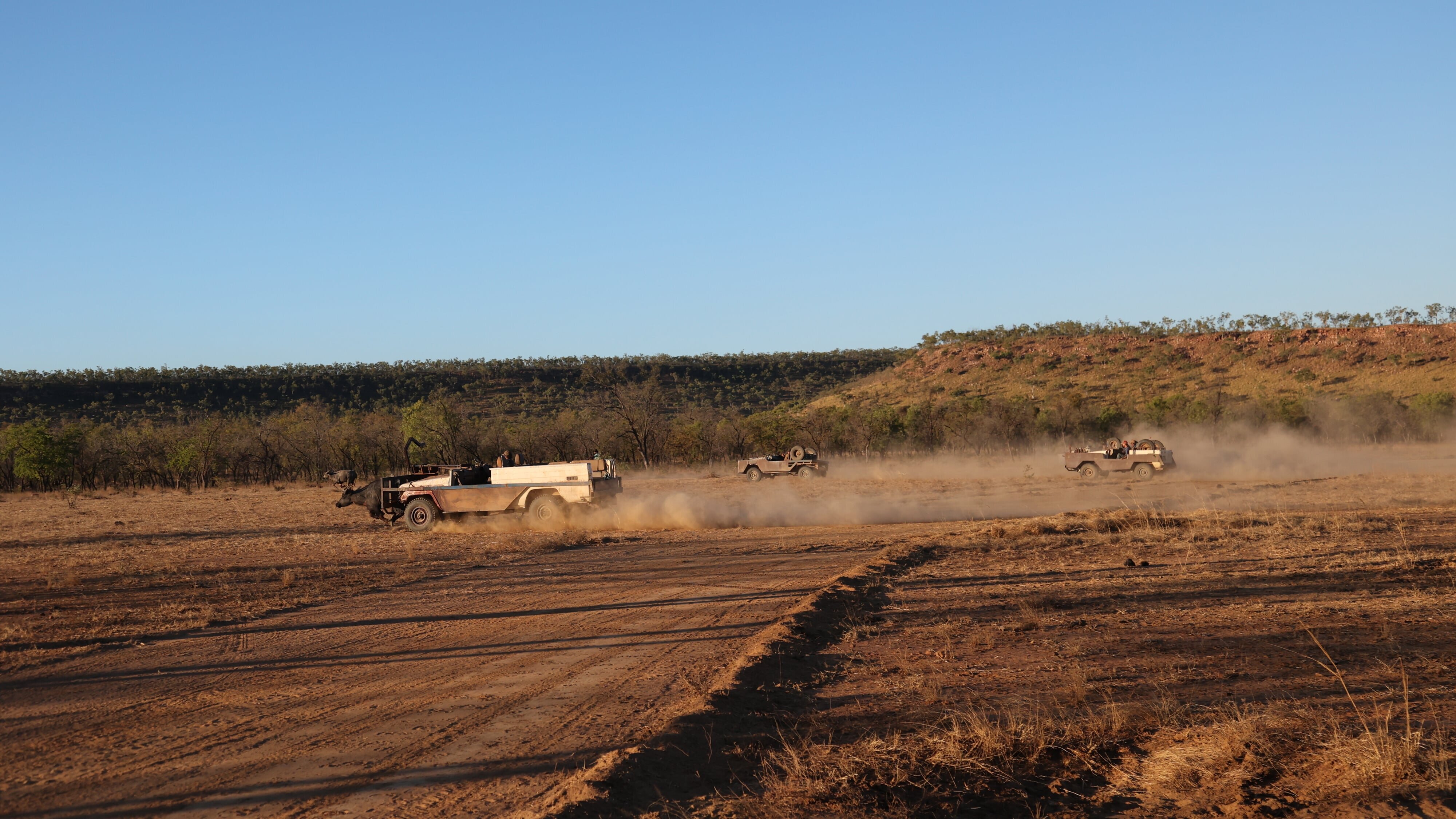 Outback Cowboys – Wilde Bullen, harte Kerle