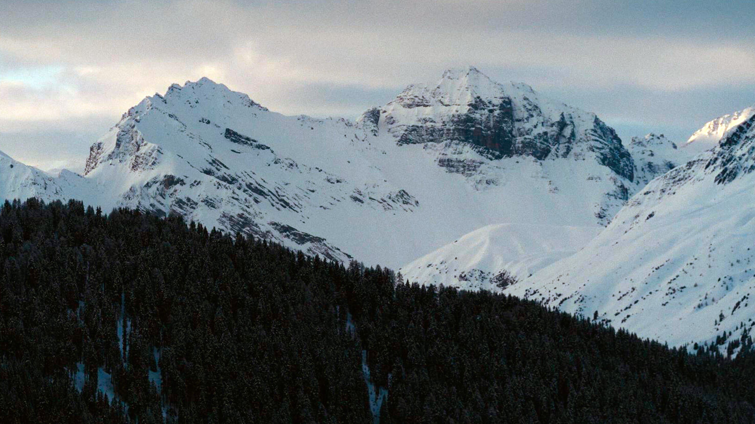 "Der Zauberberg", Thomas Manns Jahrhundertroman