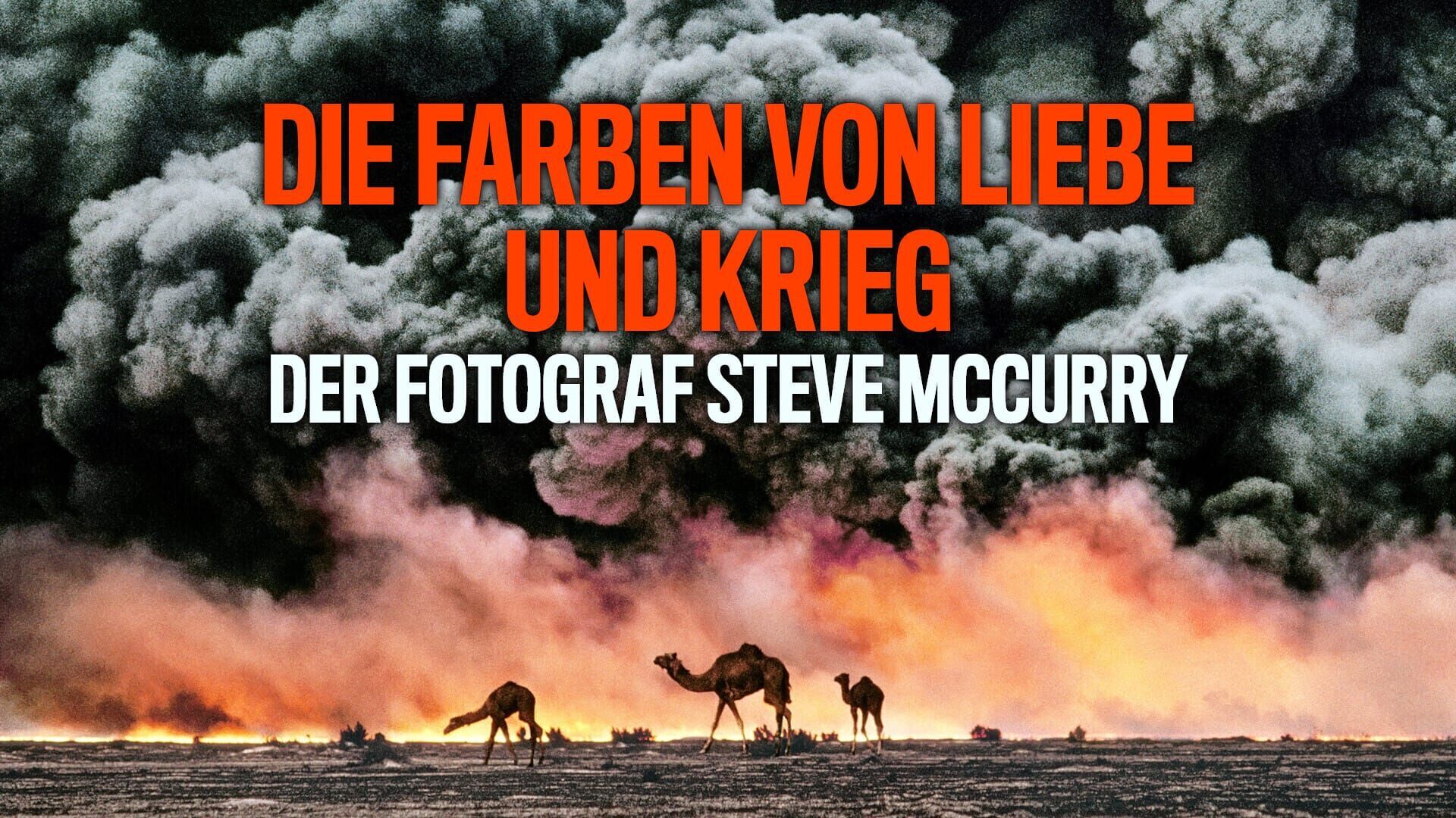 Der Fotograf Steve McCurry