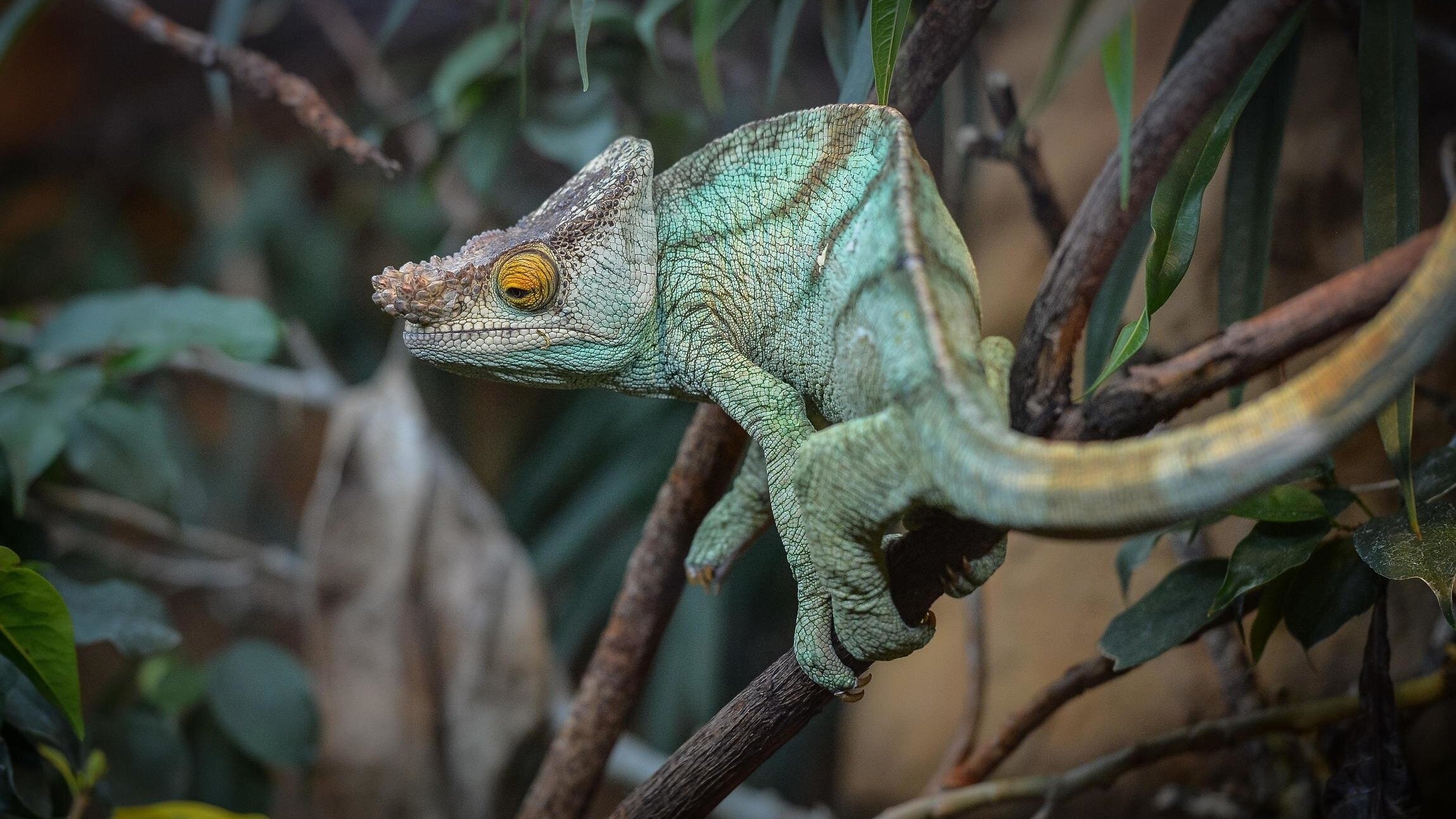Zoo und so – Tierisch wild!