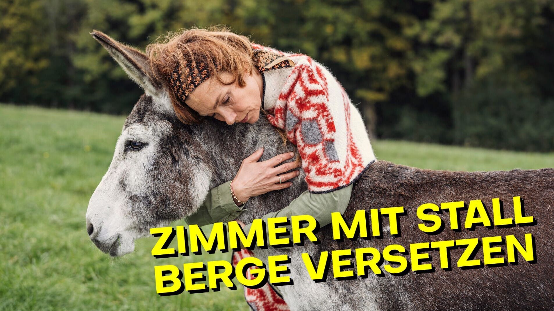 Zimmer mit Stall – Berge versetzen