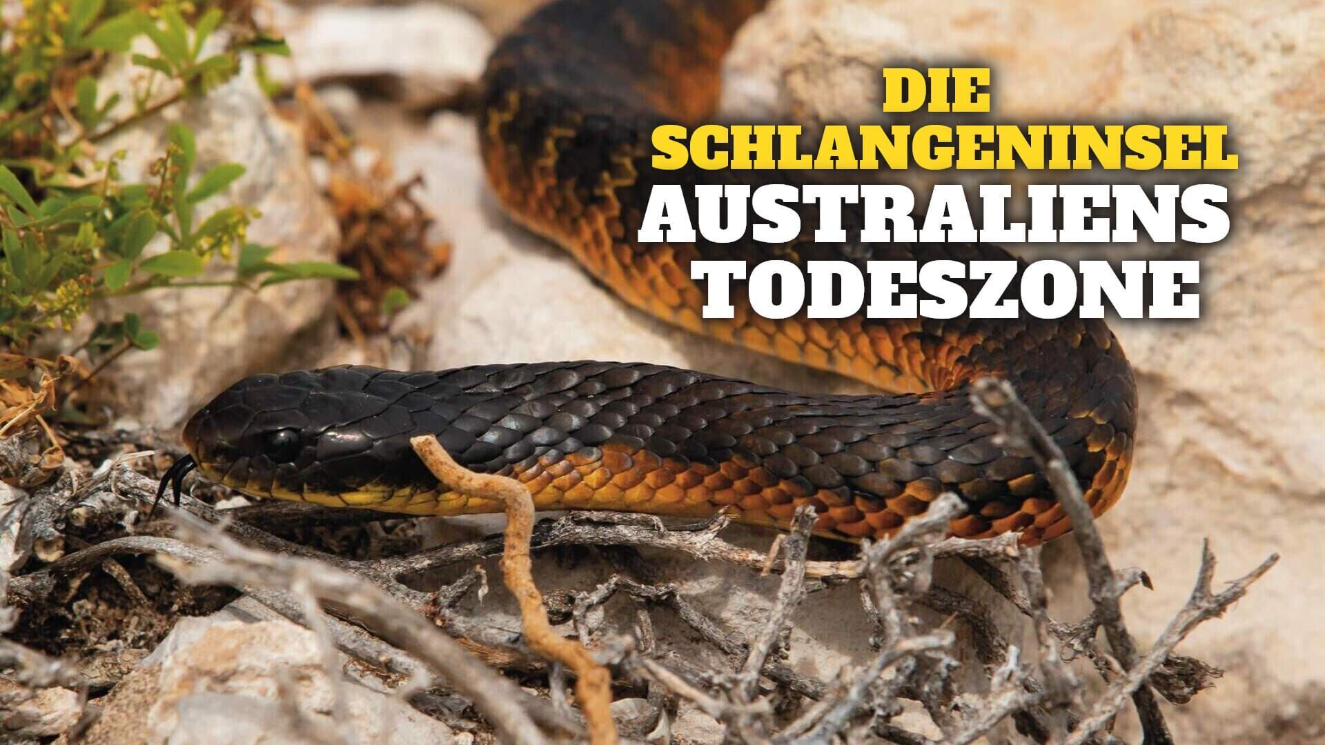 Die Schlangeninsel – Australiens Todeszone