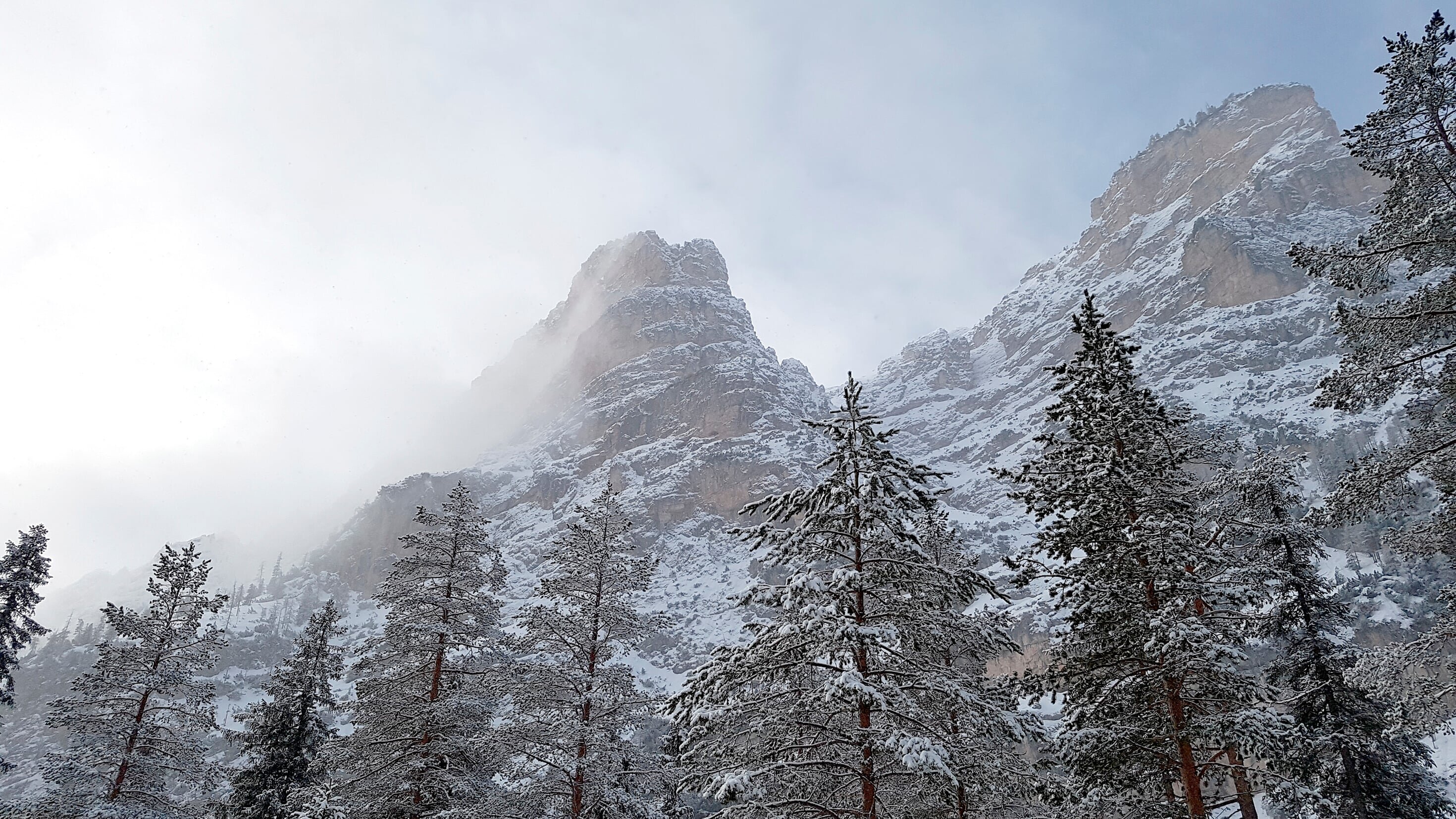 Südtirol, da will ich hin!