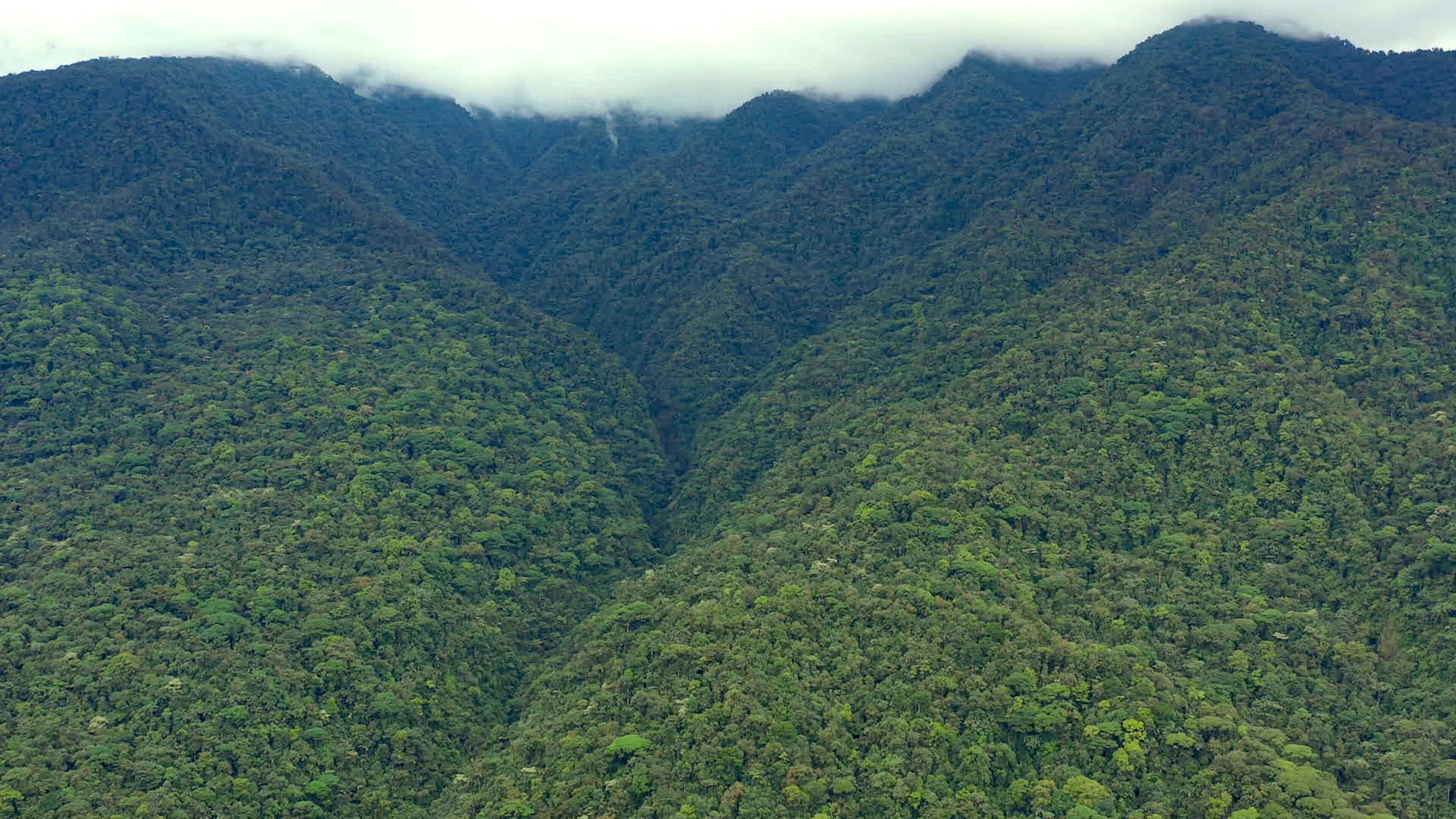 Costa Rica: Naturens skatkammer