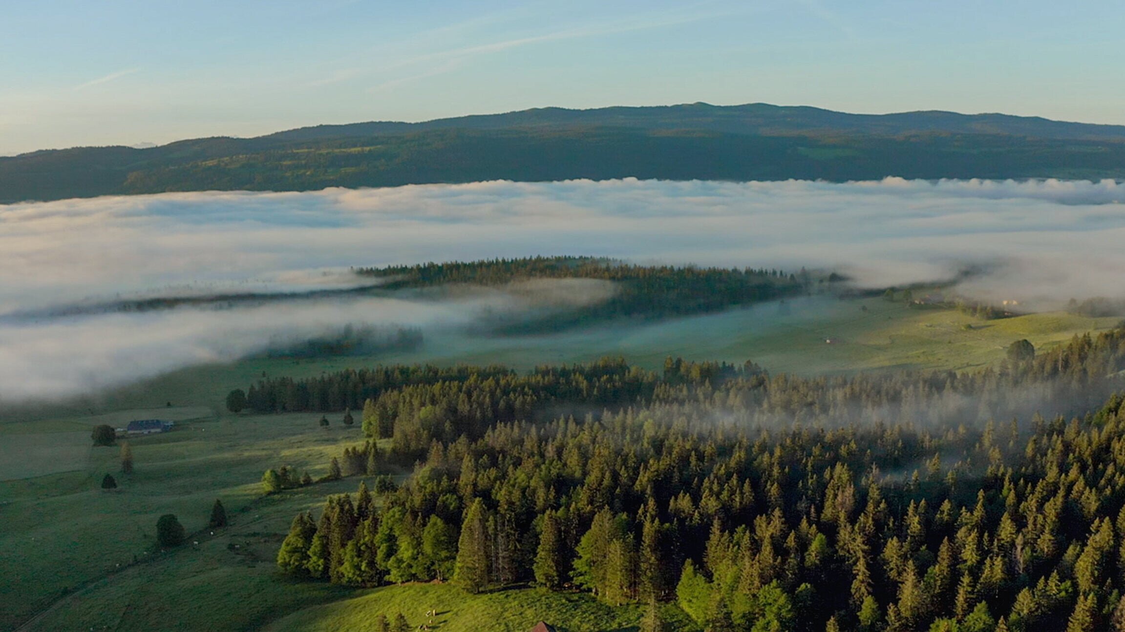 Wilde Schweiz: Waadtländer Jura