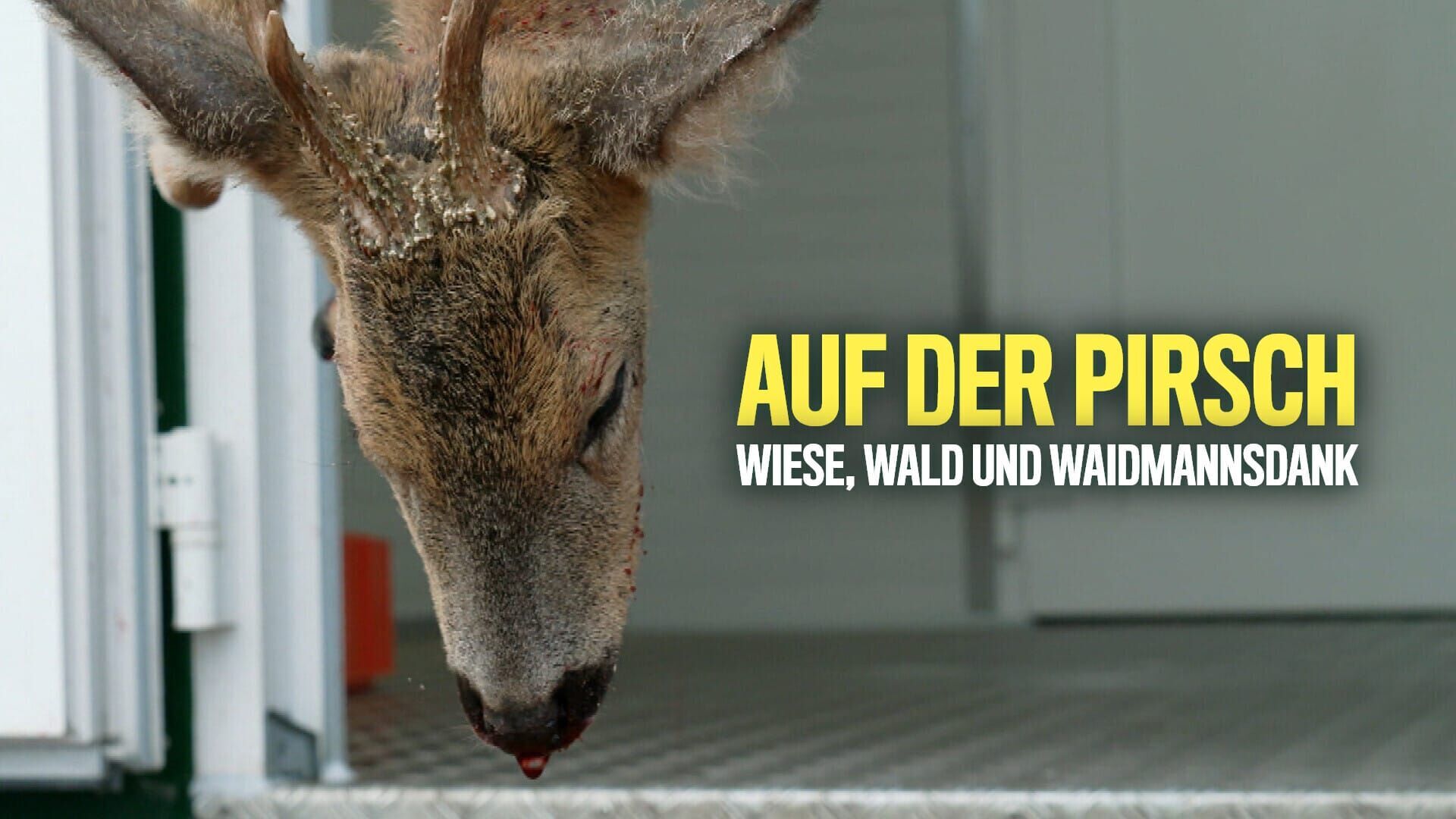 Auf der Pirsch – Wiese, Wald und Waidmannsdank
