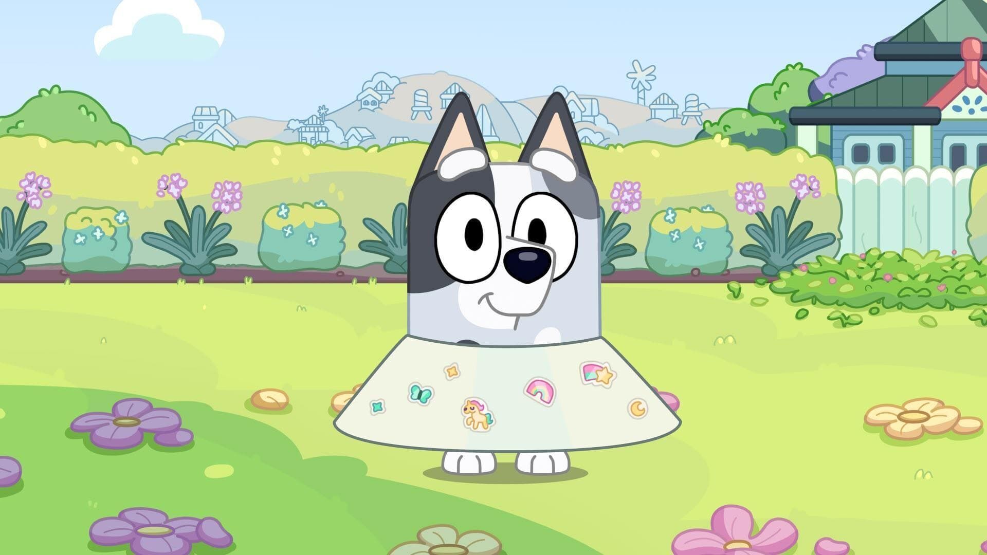Bluey