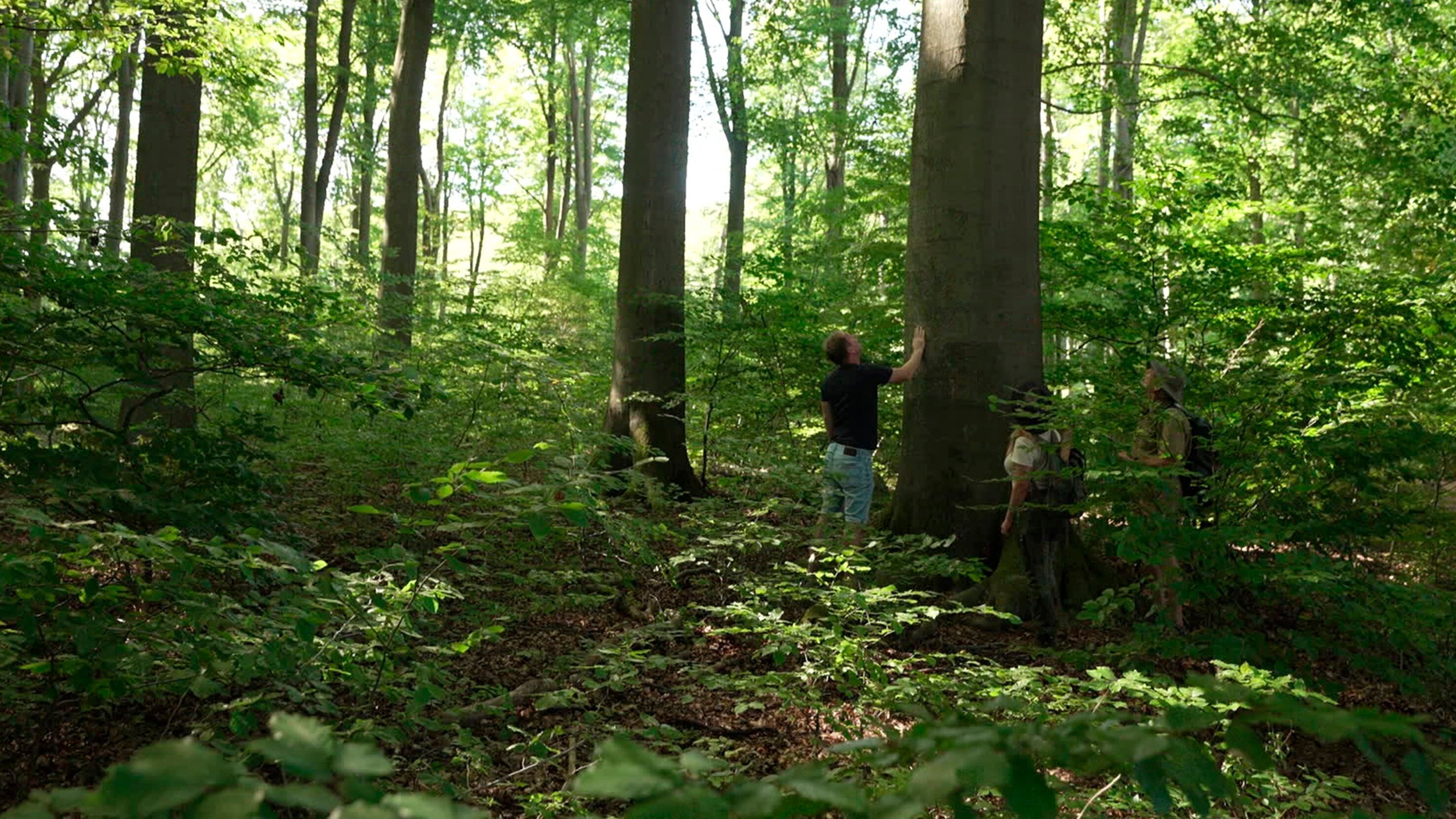 Hanseblick: Die Uckermark