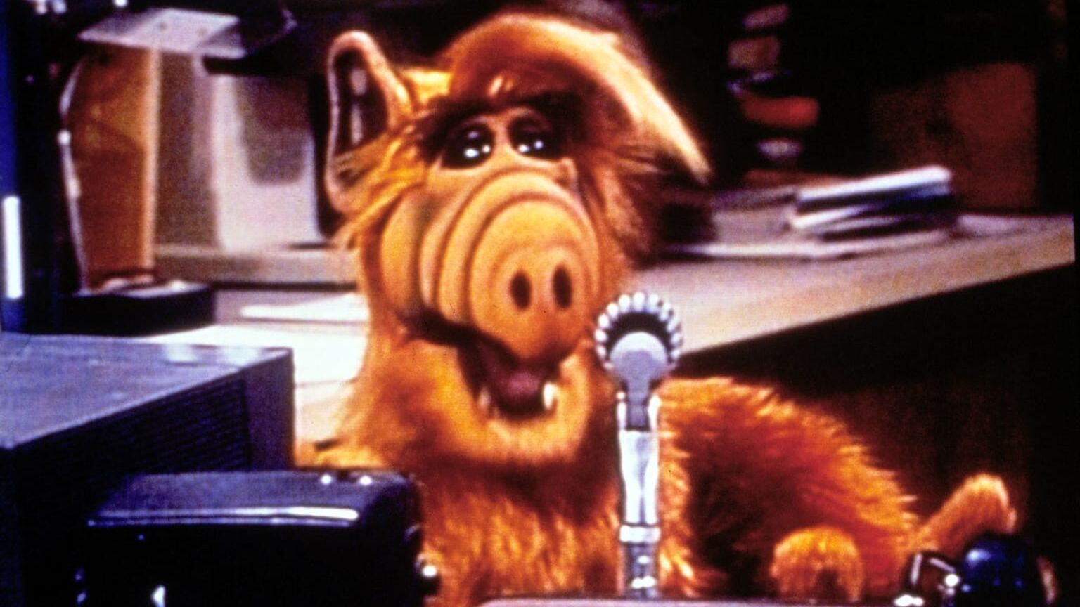 Alf