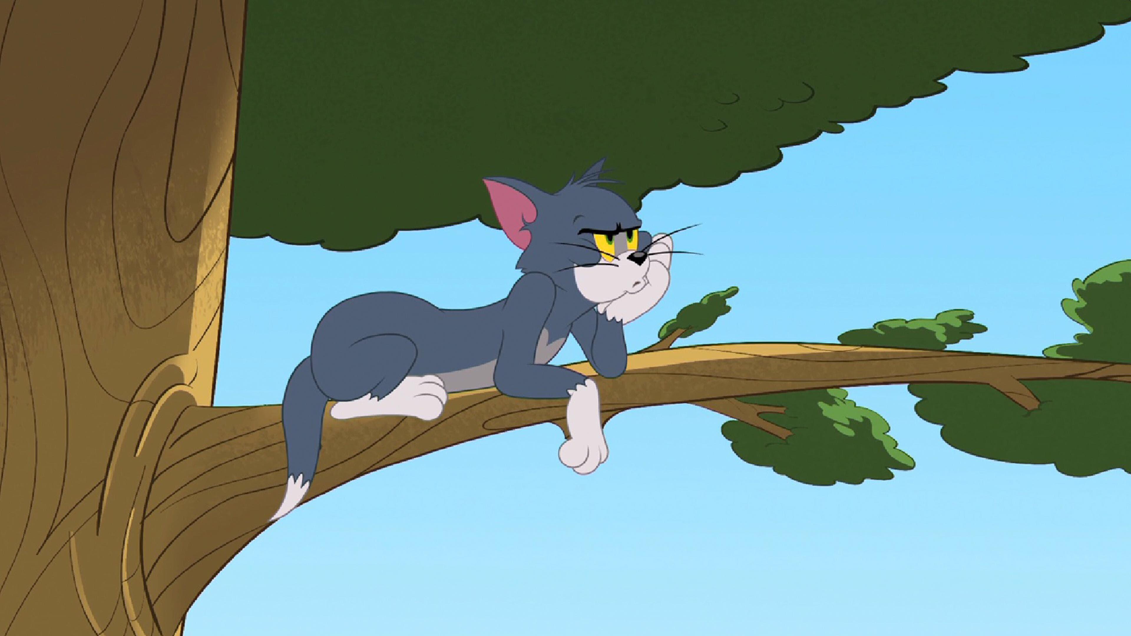 Die Tom und Jerry Show