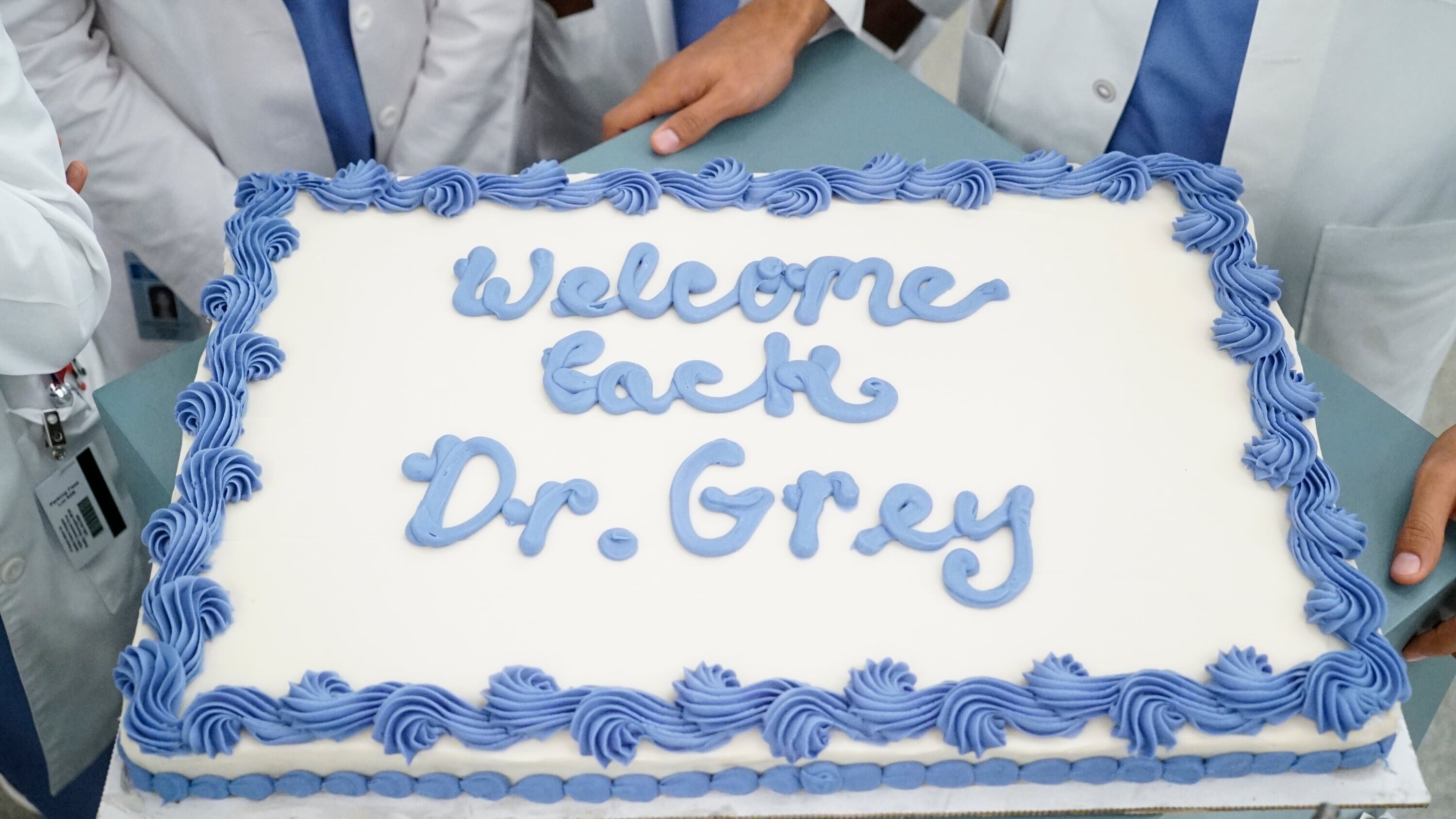 Grey's Anatomy – Die jungen Ärzte