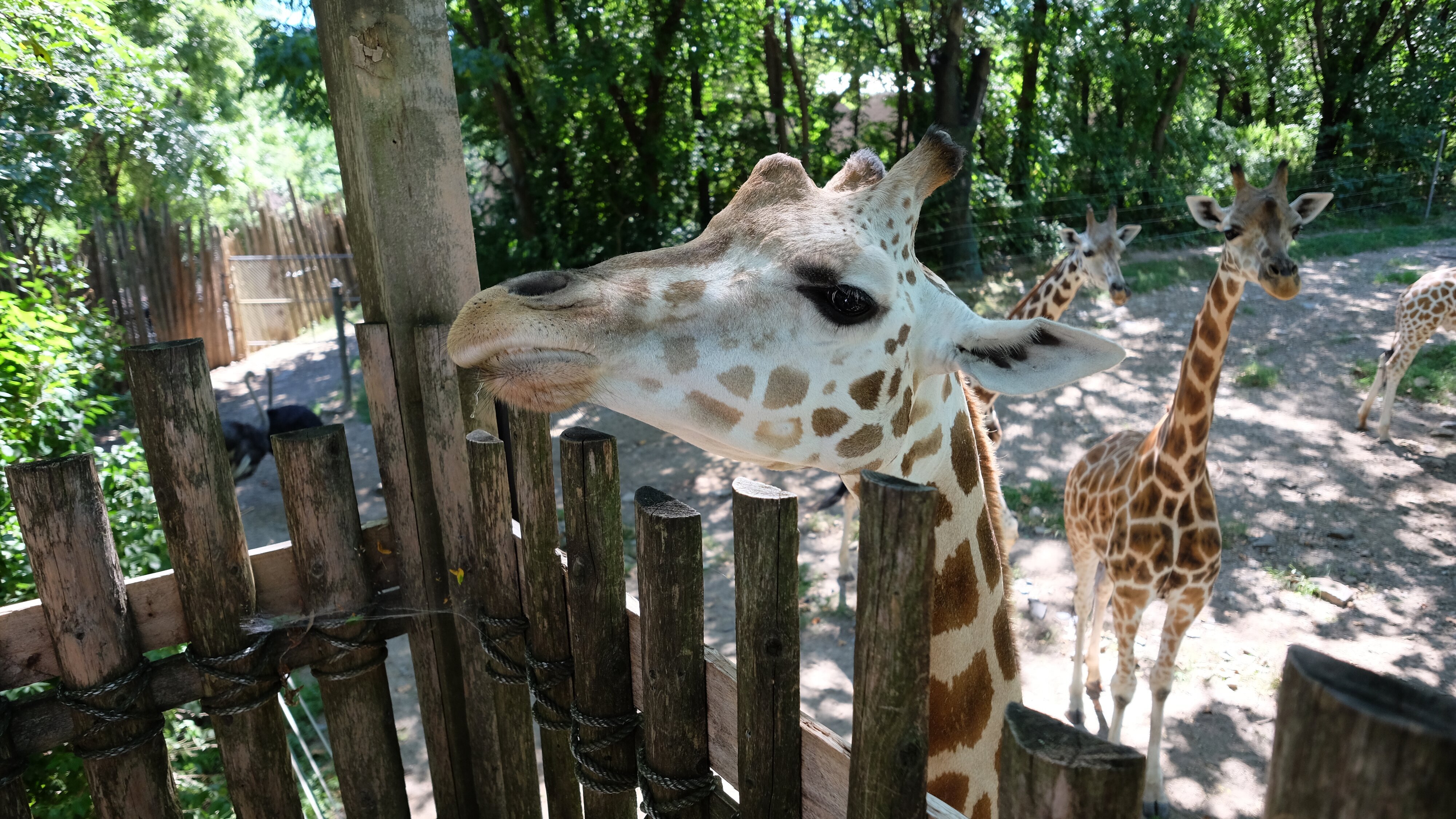 Bronx Zoo – Tierpark der Superlative