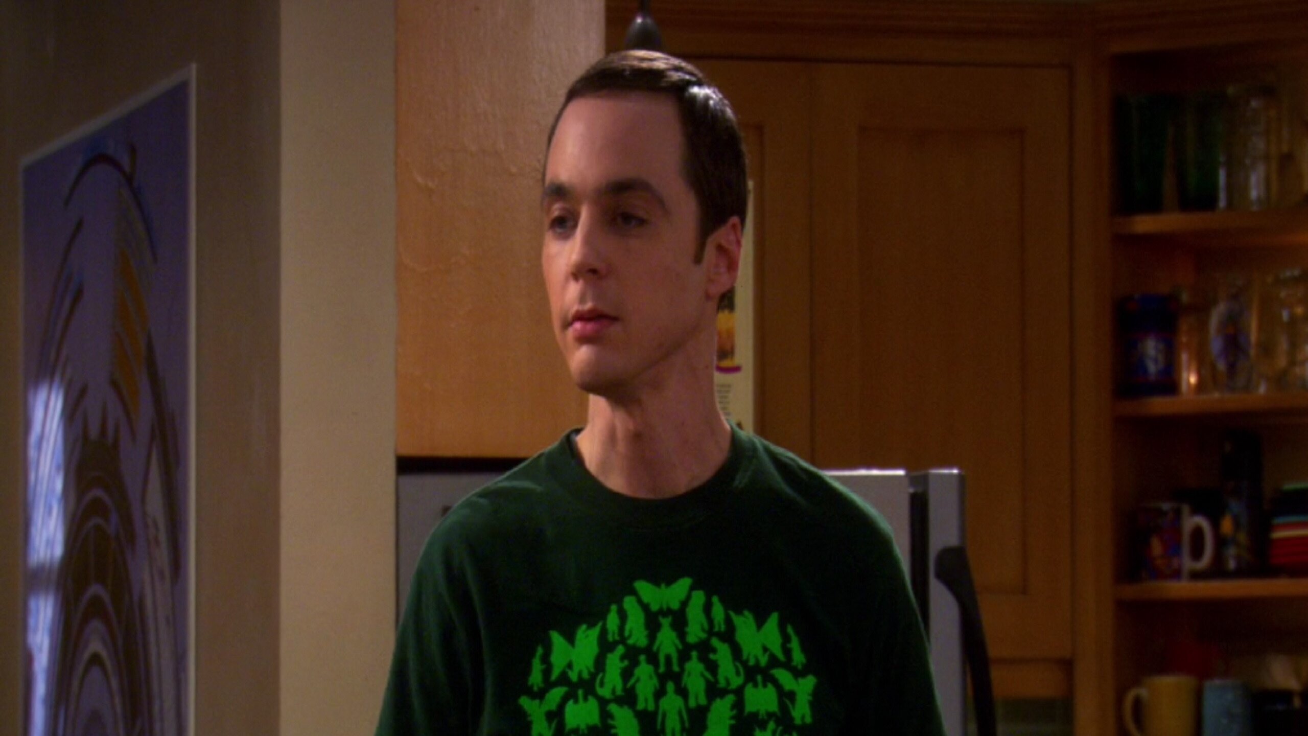 The Big Bang Theory